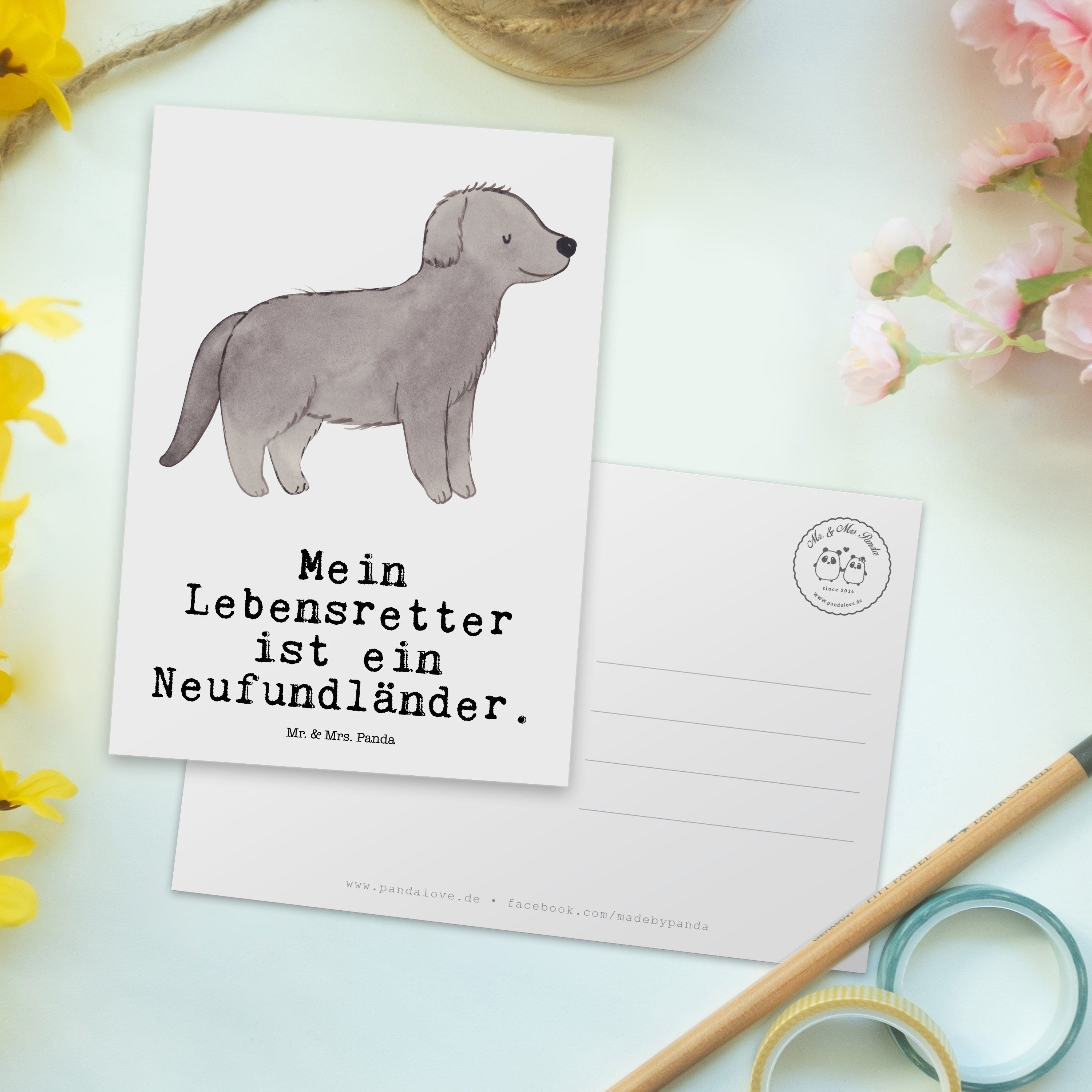 Neufundländer Mr. Hunderasse, Weiß Postkarte & Mrs. Geschenk, Panda - - Dankeskarte Lebensretter