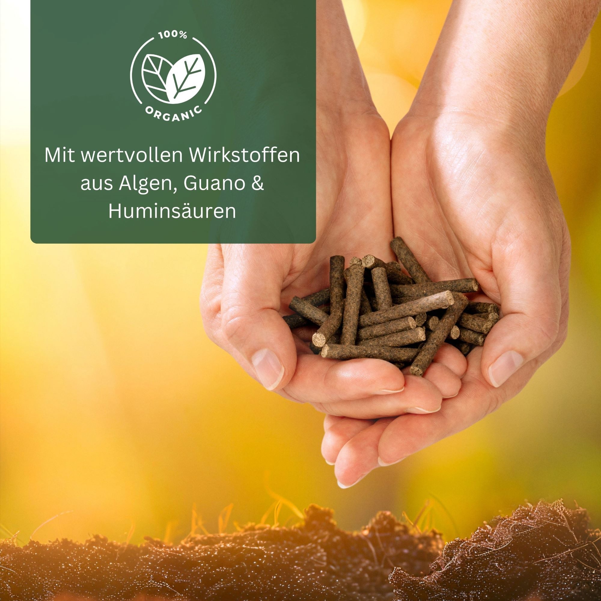 Meine Orangerie Spezialdünger BIO Düngestäbchen - 30 Sticks - organischer Pflanzendünger, 1, Packung, optimale Pflanzennahrung für alle mediterrane Pflanzen, fördert Bodenleben, Humusbildung und gesundes Pflanzenwachstum