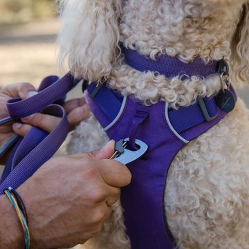 Ruffwear Hunde-Geschirr Hundegeschirr Front Range® Harness Purple Sage