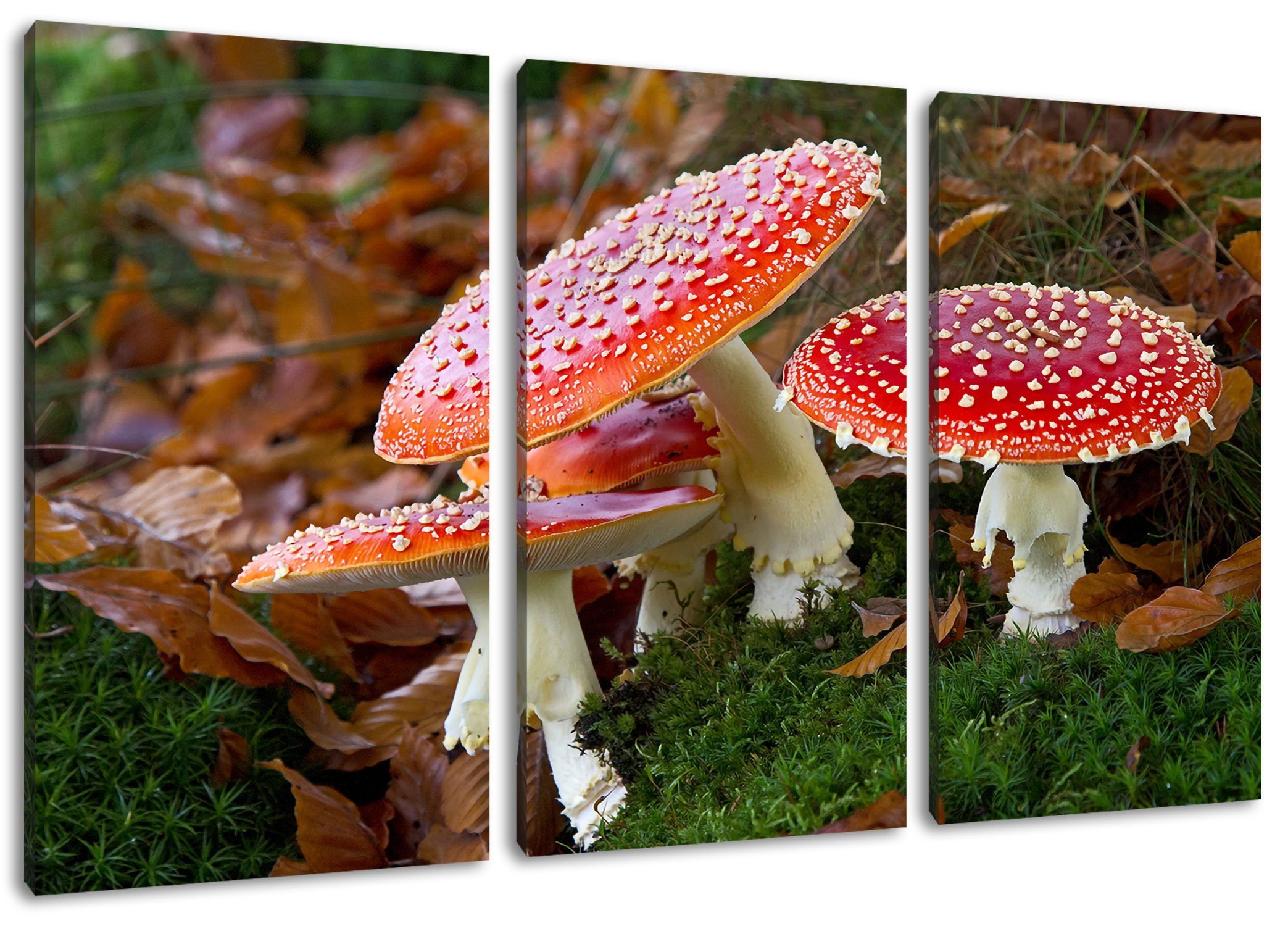 Pixxprint Leinwandbild Fliegenpilze auf Waldboden, Fliegenpilze auf Waldboden 3Teiler (120x80cm) (1 St), Leinwandbild fertig bespannt, inkl. Zackenaufhänger