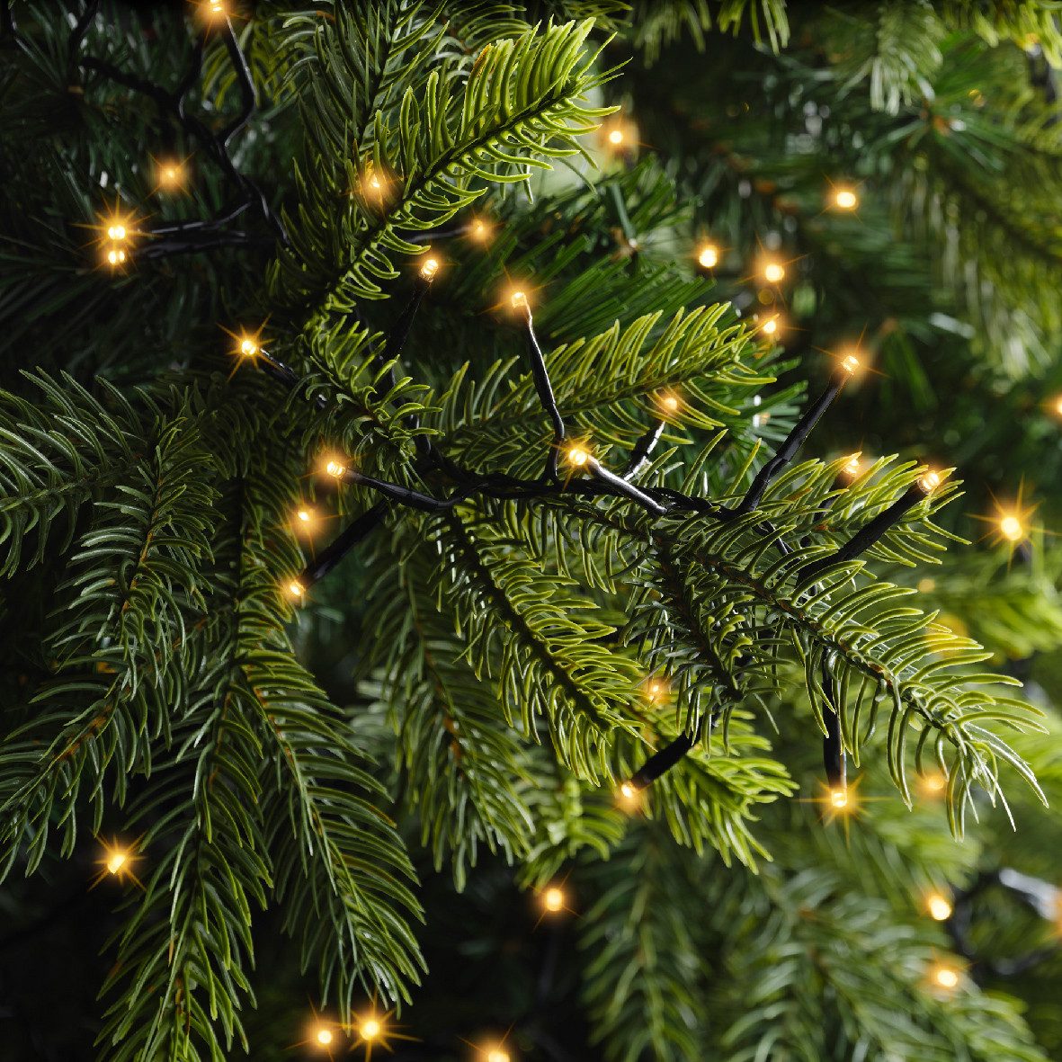 Lumineo LED-Lichterkette Lumineo Lichterkette EXCELLENT TWINKLE 960 LED 15 m klassisch warm, Indoor/Outdoor, 8 Effekte, 8h-Timer, + 5 Meter Zuleitung – Bild 4 von 5