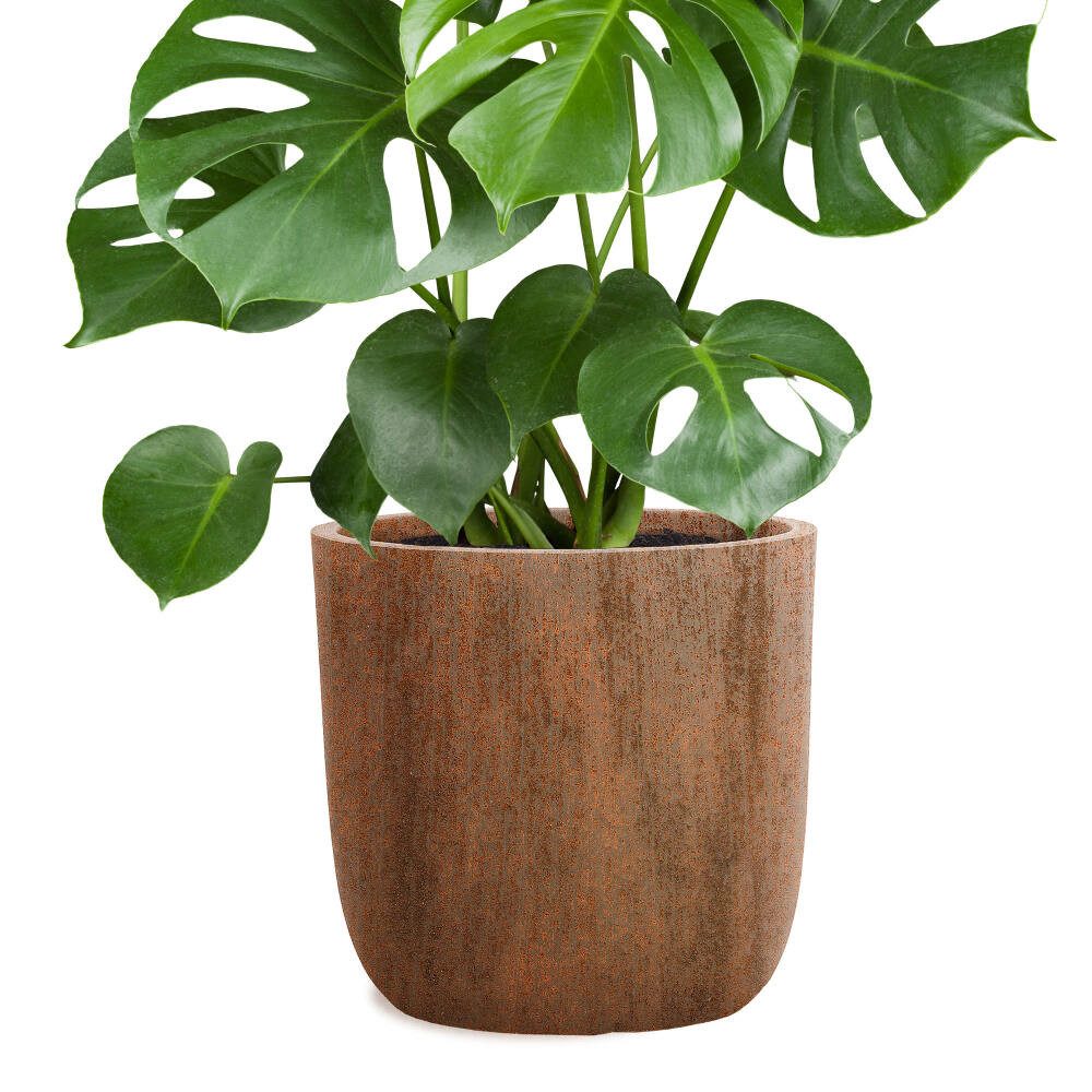 Pflanzwerk® Pflanzkübel CUP Premium Fiberglas Blumenkübel Frostbeständig mit Lotus-Effekt, Lotus-Effekt - Handgefertigt - Rund - Frostbeständig