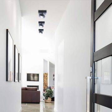 Paul Neuhaus Smarte LED-Leuchte LED Deckenleuchte anthrazit Q - MIA Smart Home, Smart Home, CCT-Farbtemperaturregelung, RGB-Farbwechsel, Dimmfunktion, Memoryfunktion, mit Leuchtmittel, Deckenspot dimmbar, Fernbedienung Works with Alexa
