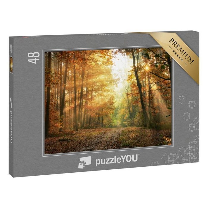 puzzleYOU Puzzle Herbstmorgen im Wald 48 Puzzleteile puzzleYOU-Kollektionen Landschaft
