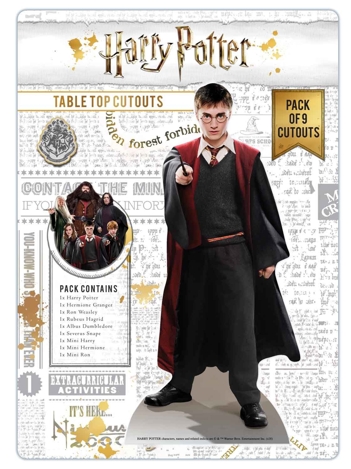 Dekofigur Harry Potter - Künstlerbedarf - Table Tops