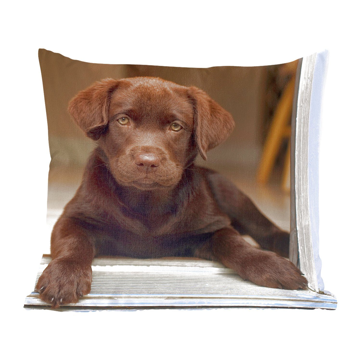 MuchoWow Dekokissen Niedlicher Labrador Retriever schaut in die Kamera, Zierkissen, Deko Kissen mit Füllung, Sofakissen, 60x60 cm