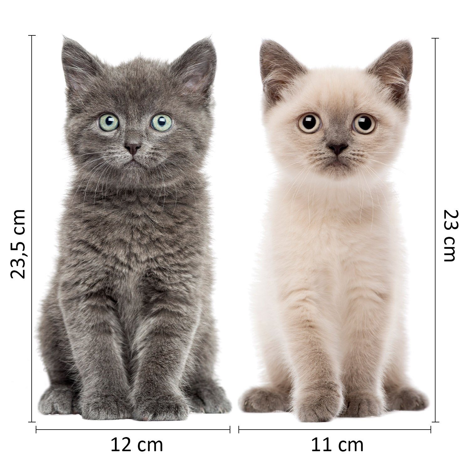 younikat Aufkleber Fensterbild I Fenster-Aufkleber statisch haftend I selbstklebend wiede