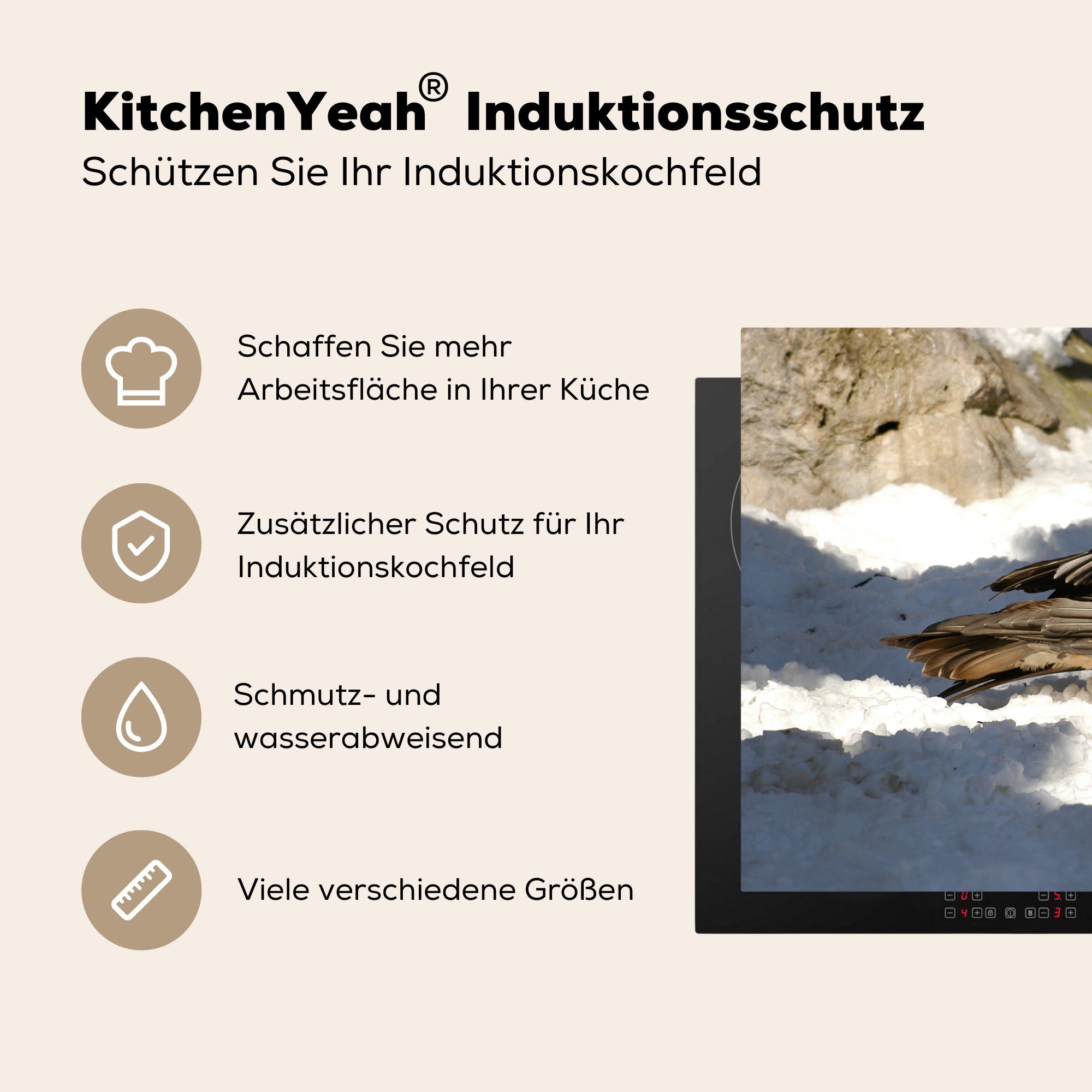 in Felslandschaft, Bartgeier verschneiten küche, MuchoWow einer Herdblende-/Abdeckplatte Schutz tlg), Vinyl, Ceranfeldabdeckung Induktionskochfeld cm, die 81x52 für (1