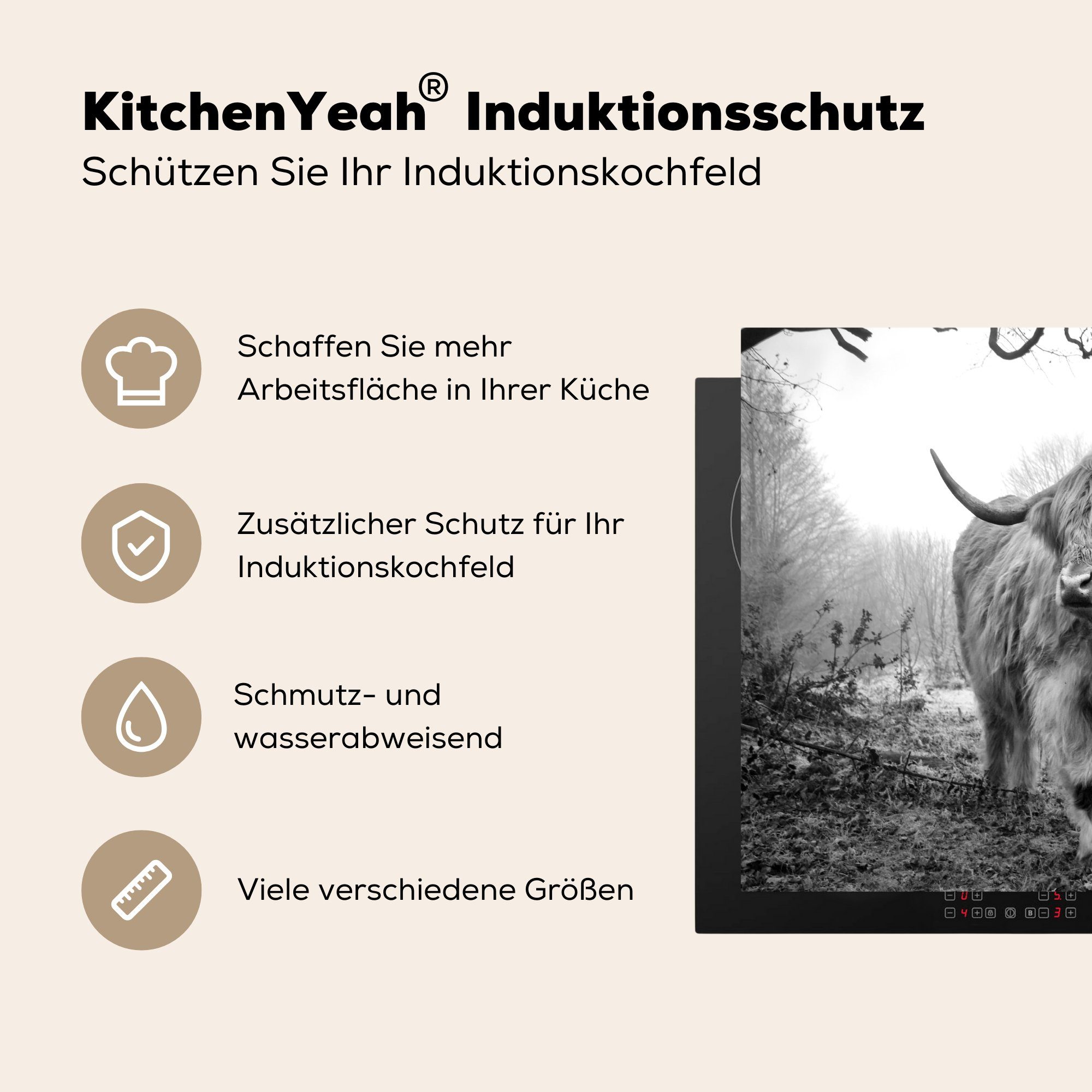 MuchoWow Herdblende-/Abdeckplatte Tiere Induktionskochfeld, Wald cm, Nebel - Ceranfeldabdeckung 59x51 Vinyl, tlg), - - - Induktionsschutz, Kuh Highlander Schottischer Natur, - (1