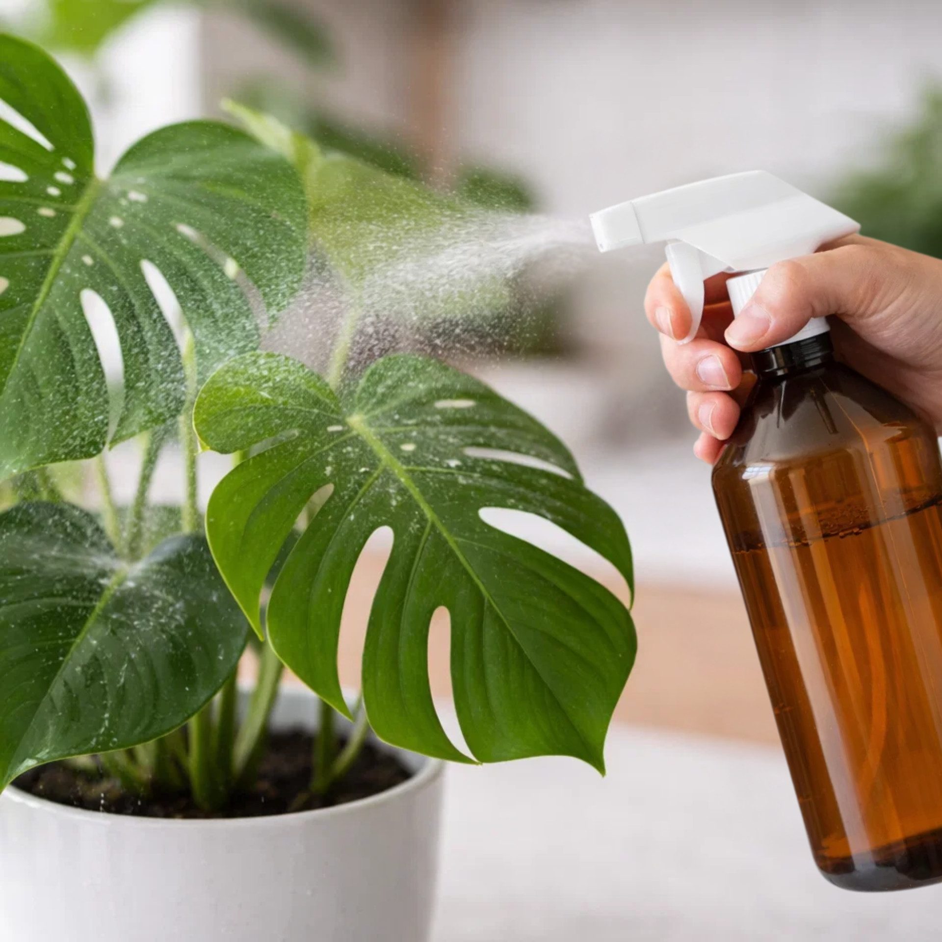 mikken Sprühflasche Plastikflasche mit Trigger 1 Liter PET braun Flasche mit Sprühaufsatz, (2-tlg., Als 2er, 4er, 6er, oder 10er Set), Etiketten zum Beschriften, für lichtempfindliche Inhalte