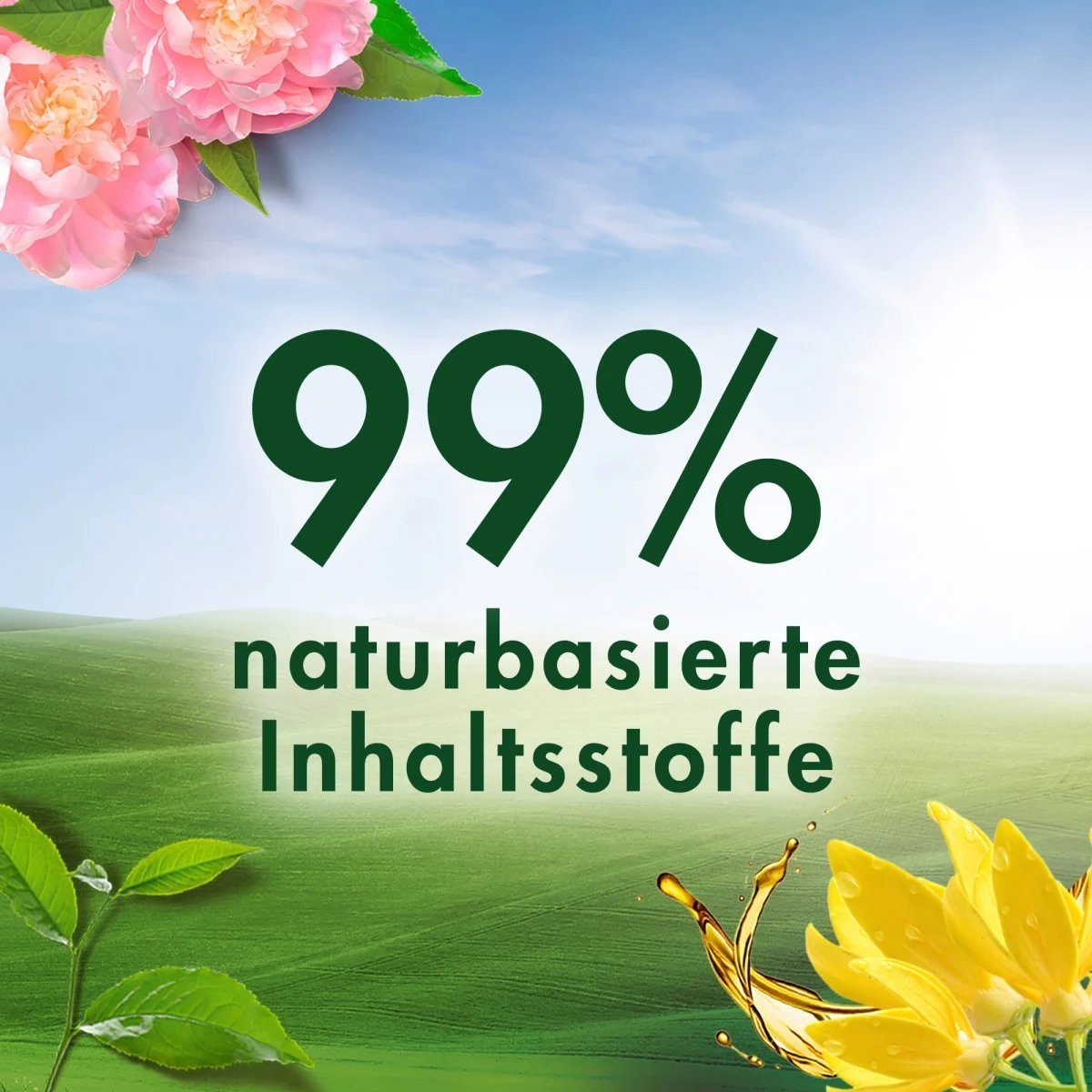 Pfingstrose Naturals Waschladungen Weichspüler, 32 und Vernel Tee, Weichspüler Weißer