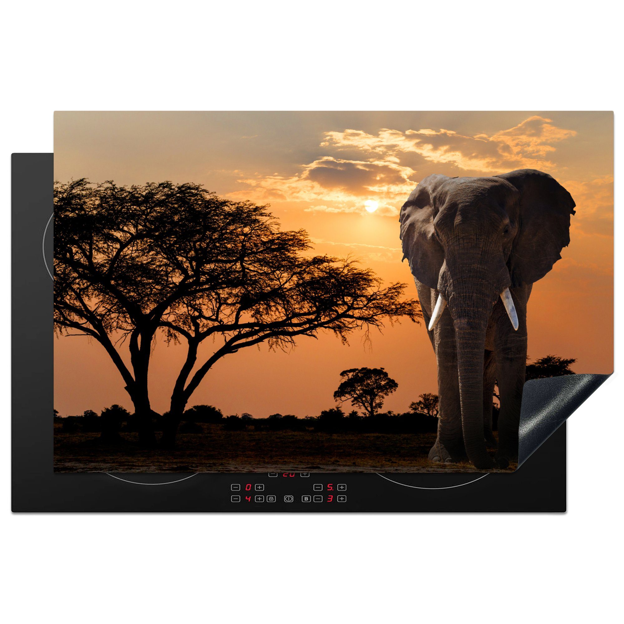 tlg), für Herdblende-/Abdeckplatte die Elefant 81x52 cm, MuchoWow Vinyl, - Baum (1 Induktionskochfeld - Ceranfeldabdeckung Schutz Afrika, küche,