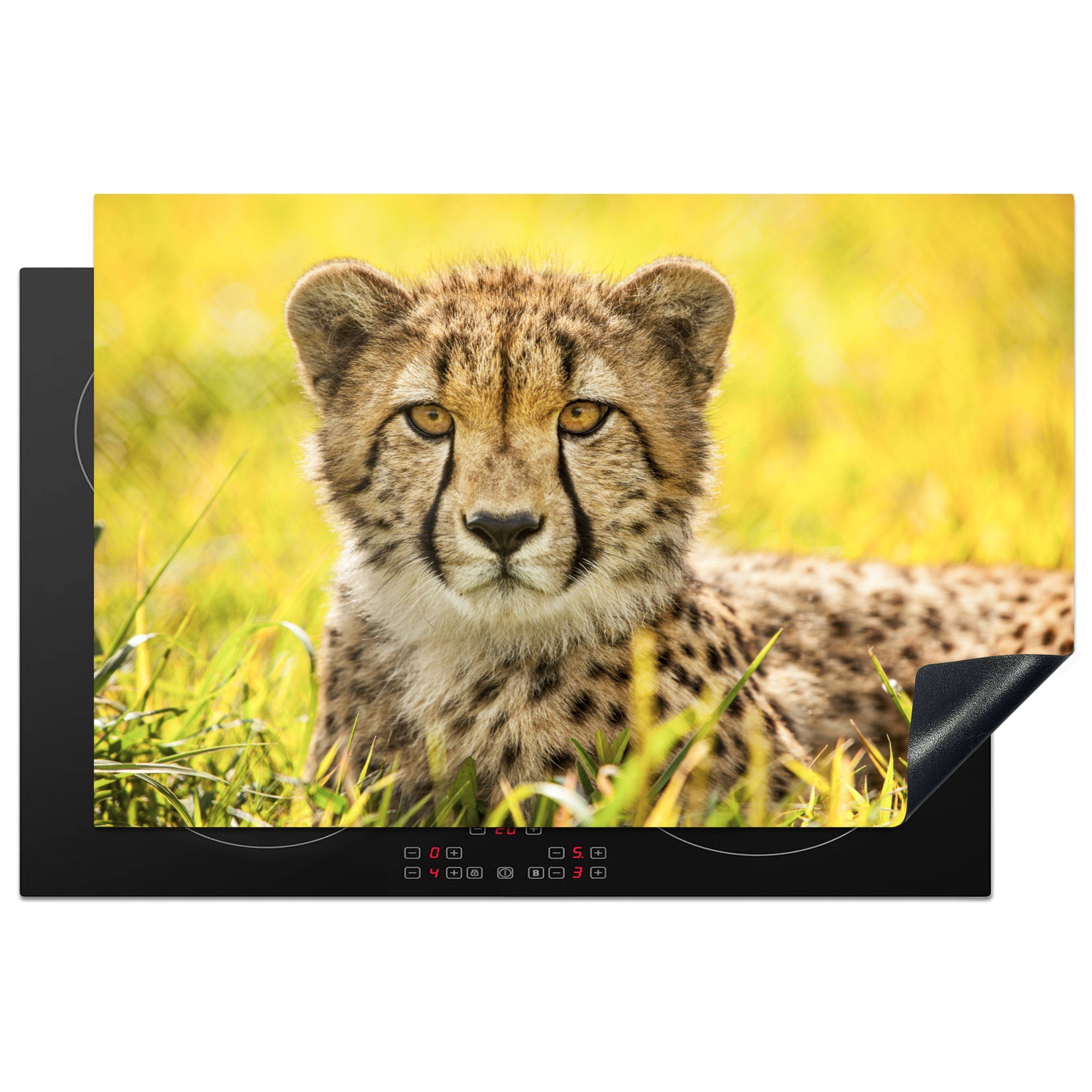 MuchoWow Herdblende-/Abdeckplatte Leopard - Gras - Gepard, Vinyl, (1 tlg), 81x52 cm, Induktionskochfeld Schutz für die küche, Ceranfeldabdeckung