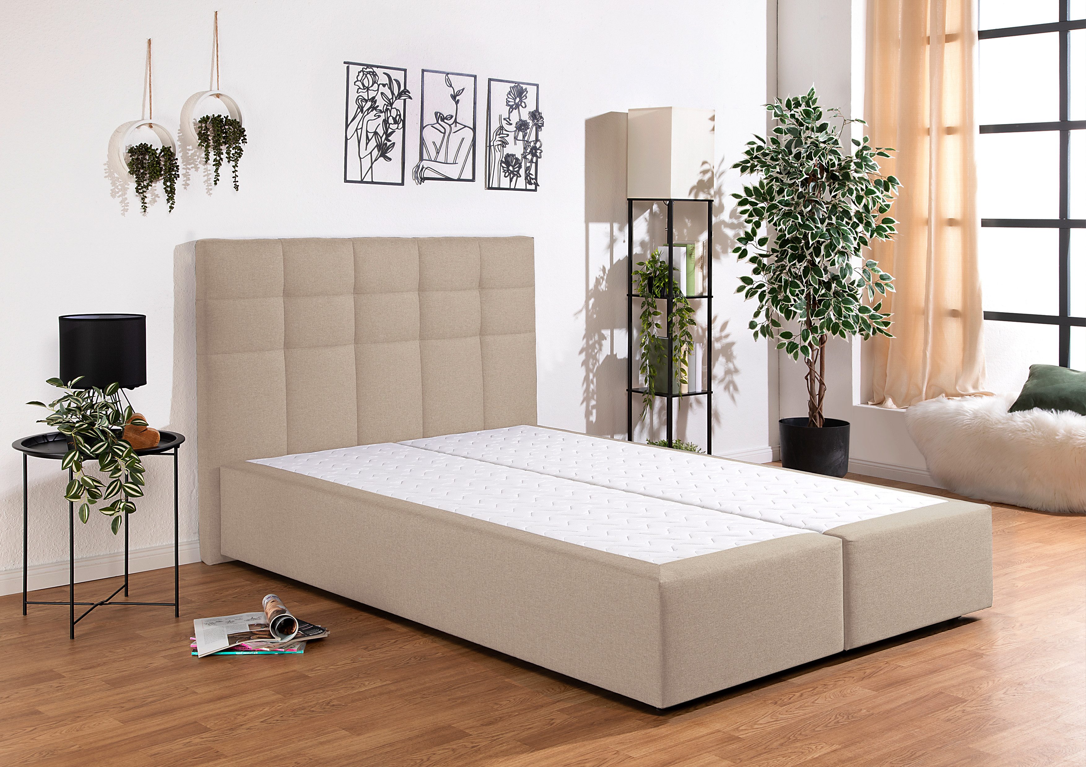 Home affaire Boxbett Carde, wahlweise mit Bettkasten, in H2, H3 & H4 erhältlich
