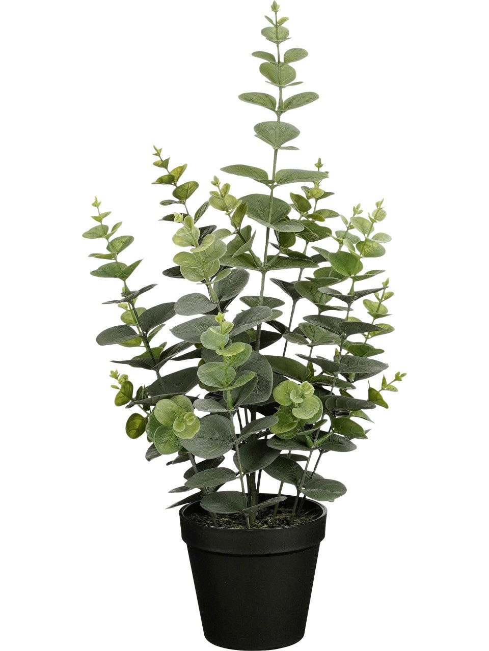 Kunstpflanze Mica Kunstpflanze Eukalyptus grün im Topf Ø 23 x