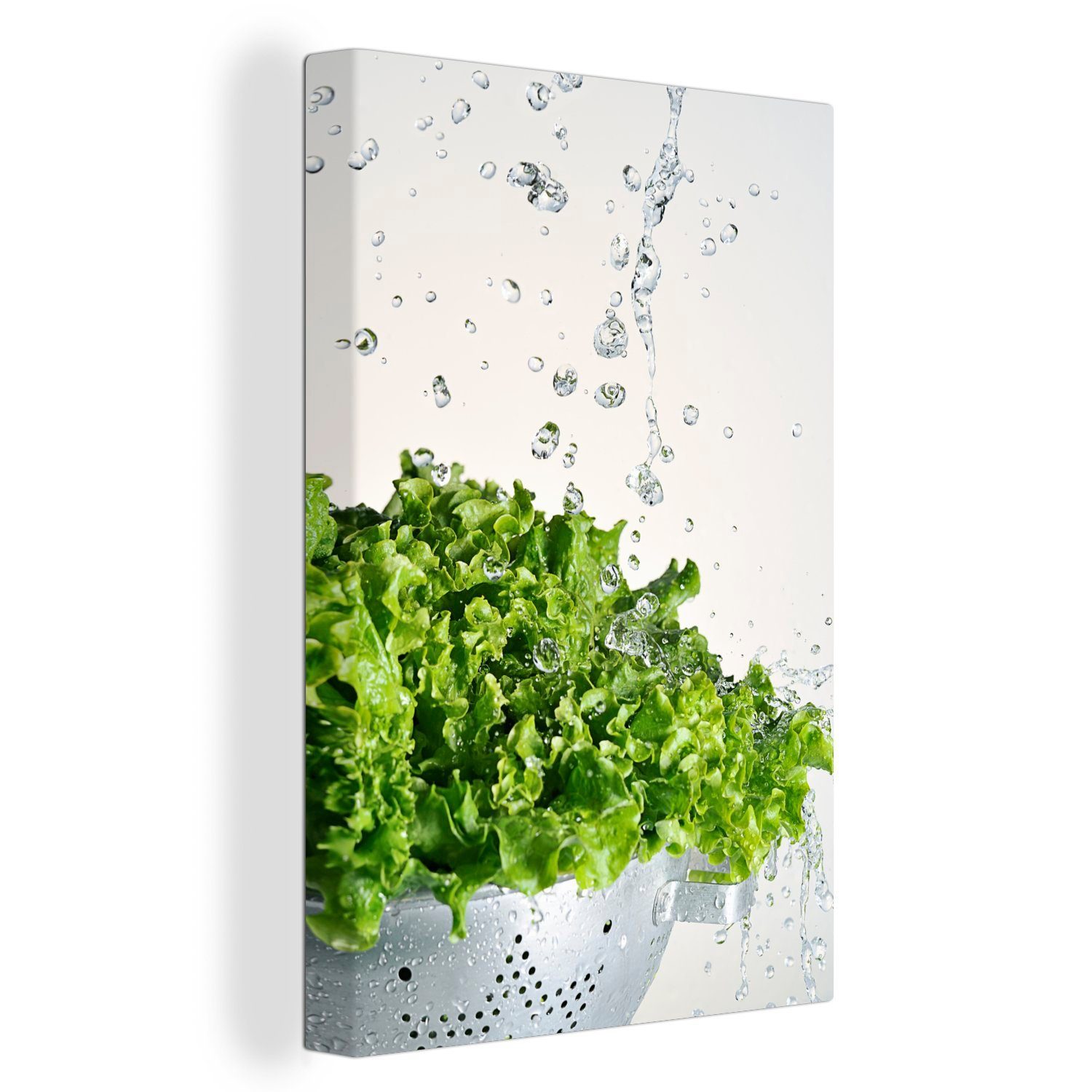 OneMillionCanvasses® Leinwandbild Salat in einem Sieb anfeuchten, (1 St), Leinwandbild fertig bespannt inkl. Zackenaufhänger, Gemälde, 20x30 cm