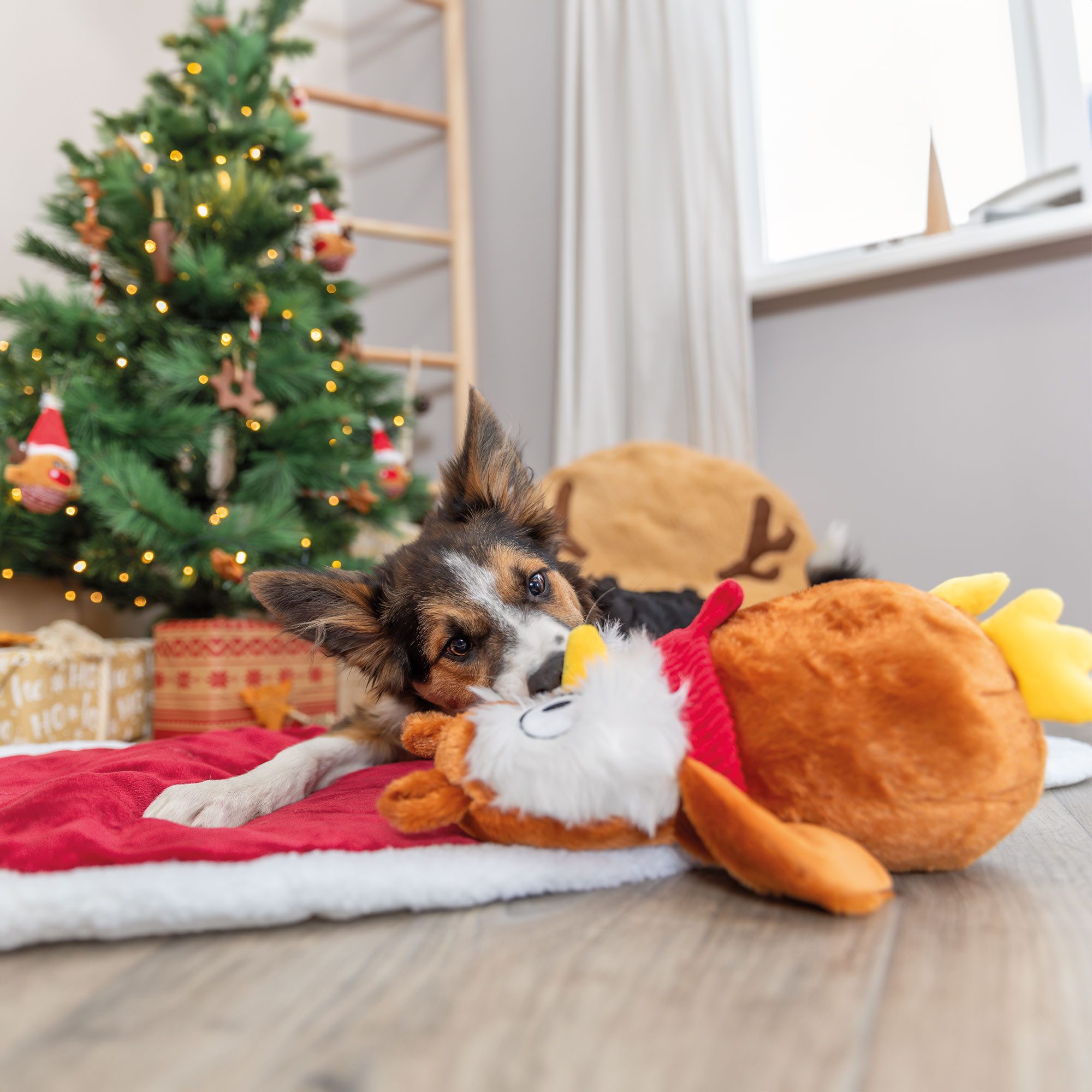 TRIXIE Tierkuscheltier TRIXIE Hundespielzeug Eule - günstig online kaufen