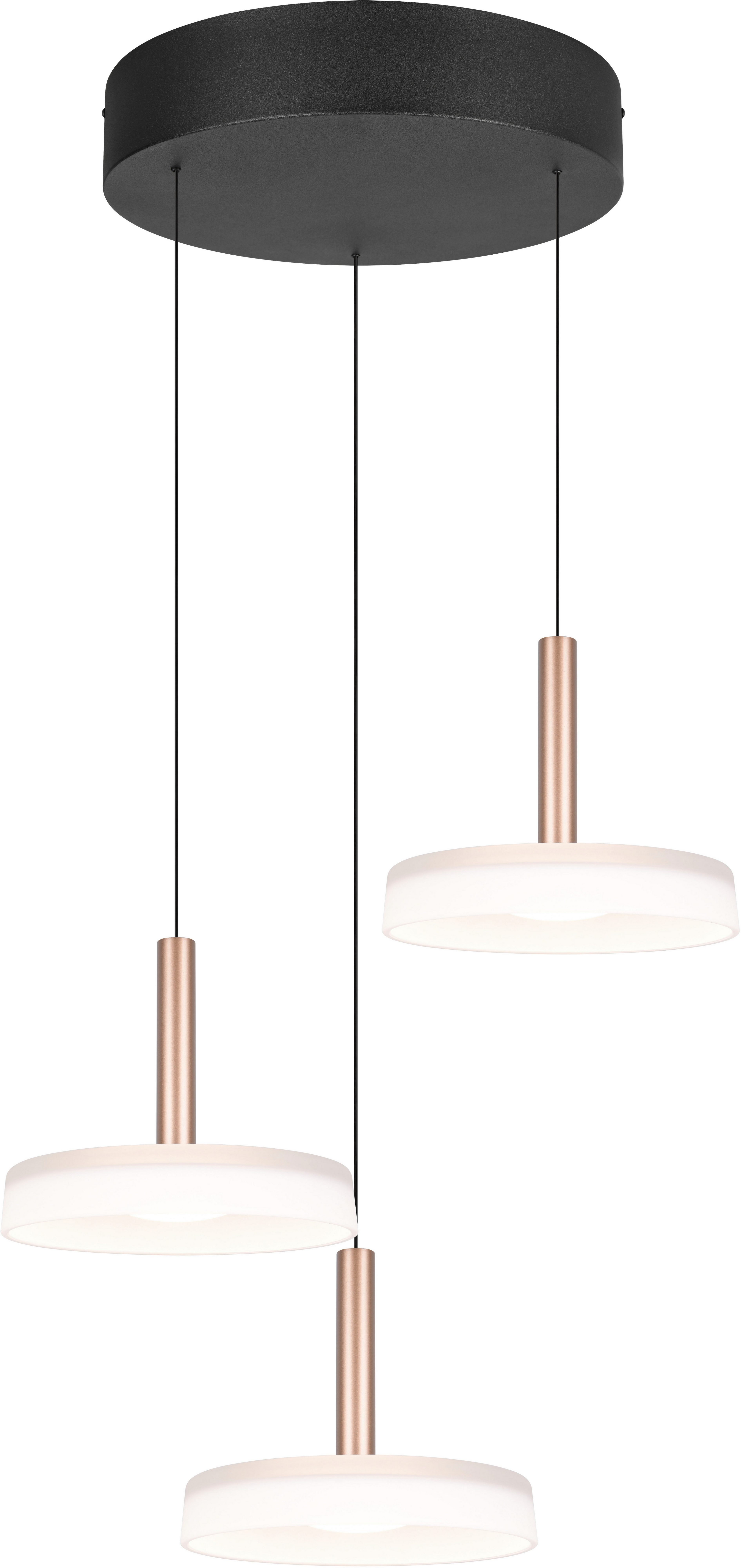 TRIO Leuchten LED Pendelleuchte CELESTE dimmbare günstig online kaufen