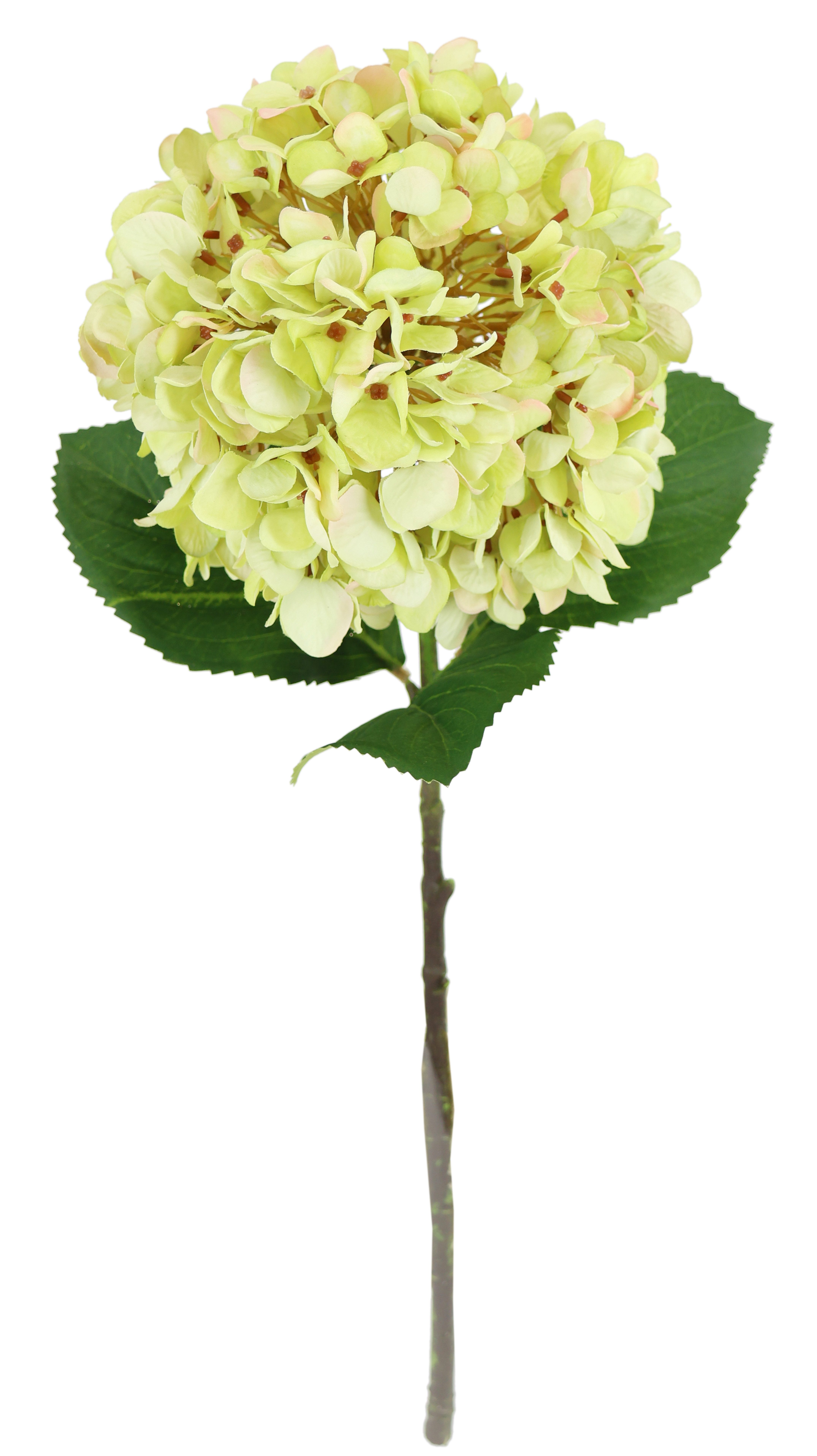Pusteblume Kunstblumen online kaufen | OTTO