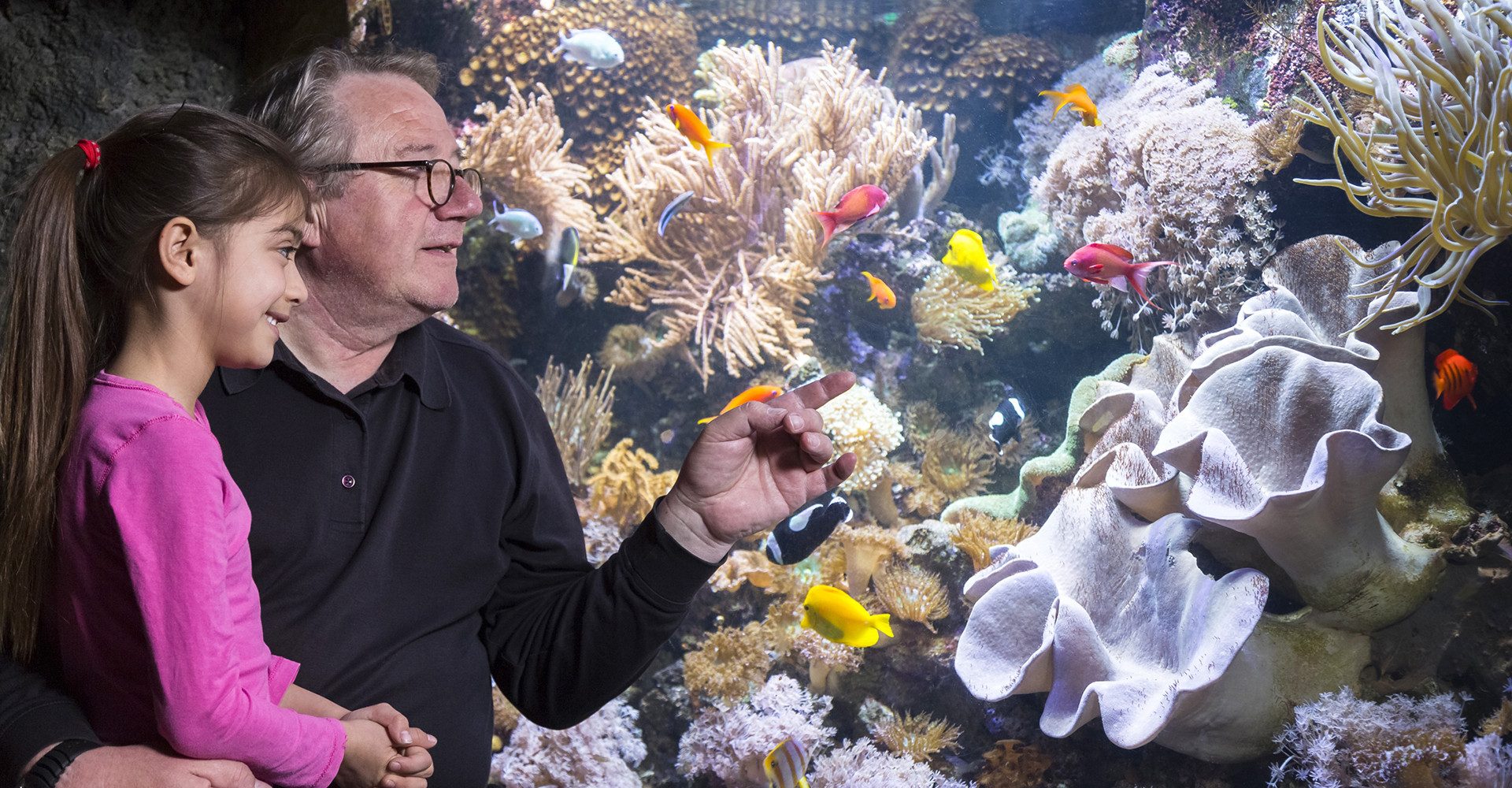 Erlebnisgutschein Sea Life Speyer (Kinder-Ticket)