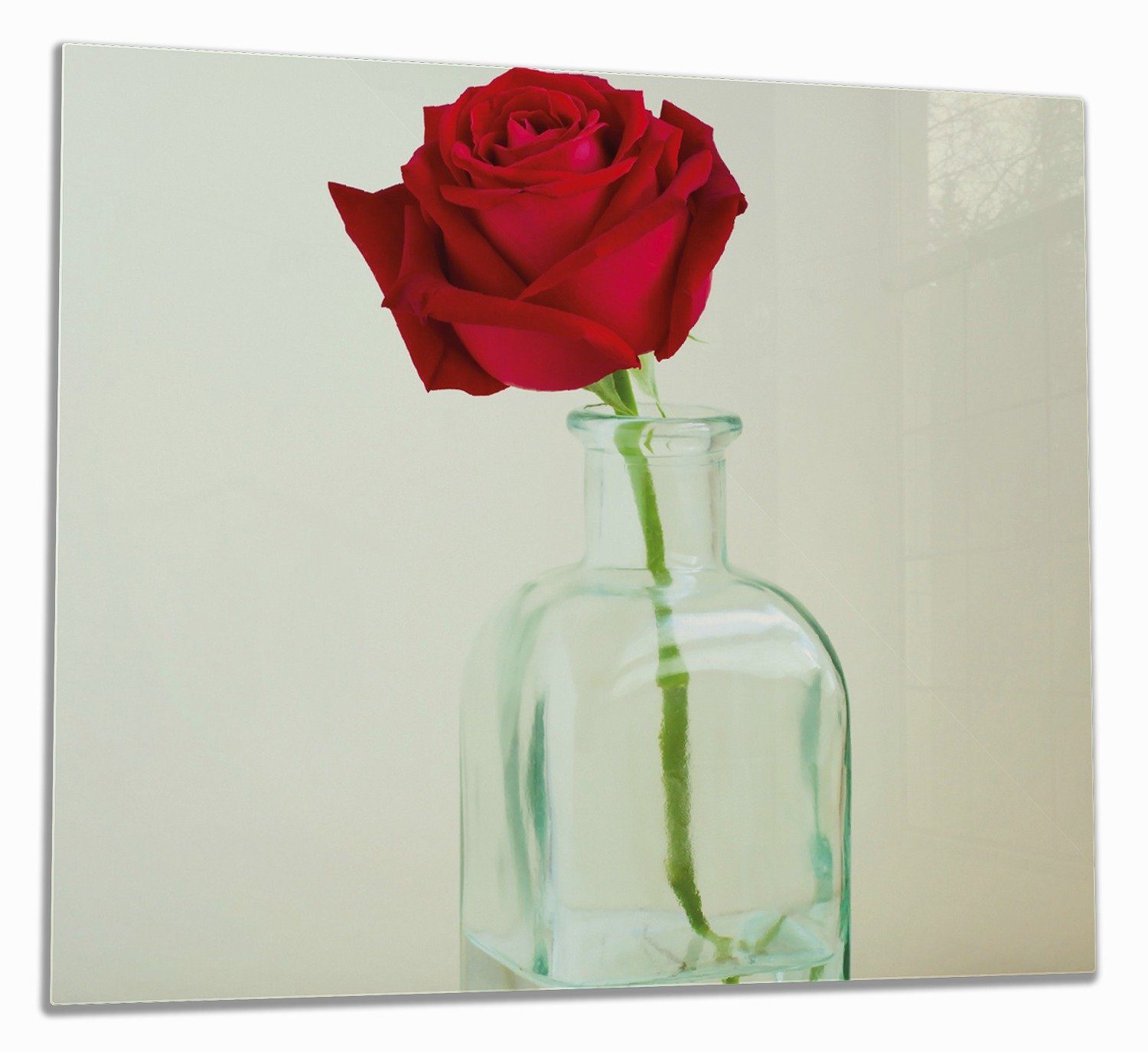 Wallario Herd-Abdeckplatte Rote Rose in Glasvase, ESG-Sicherheitsglas, (Glasplatte, 1 tlg., inkl. 5mm Noppen), verschiedene Größen
