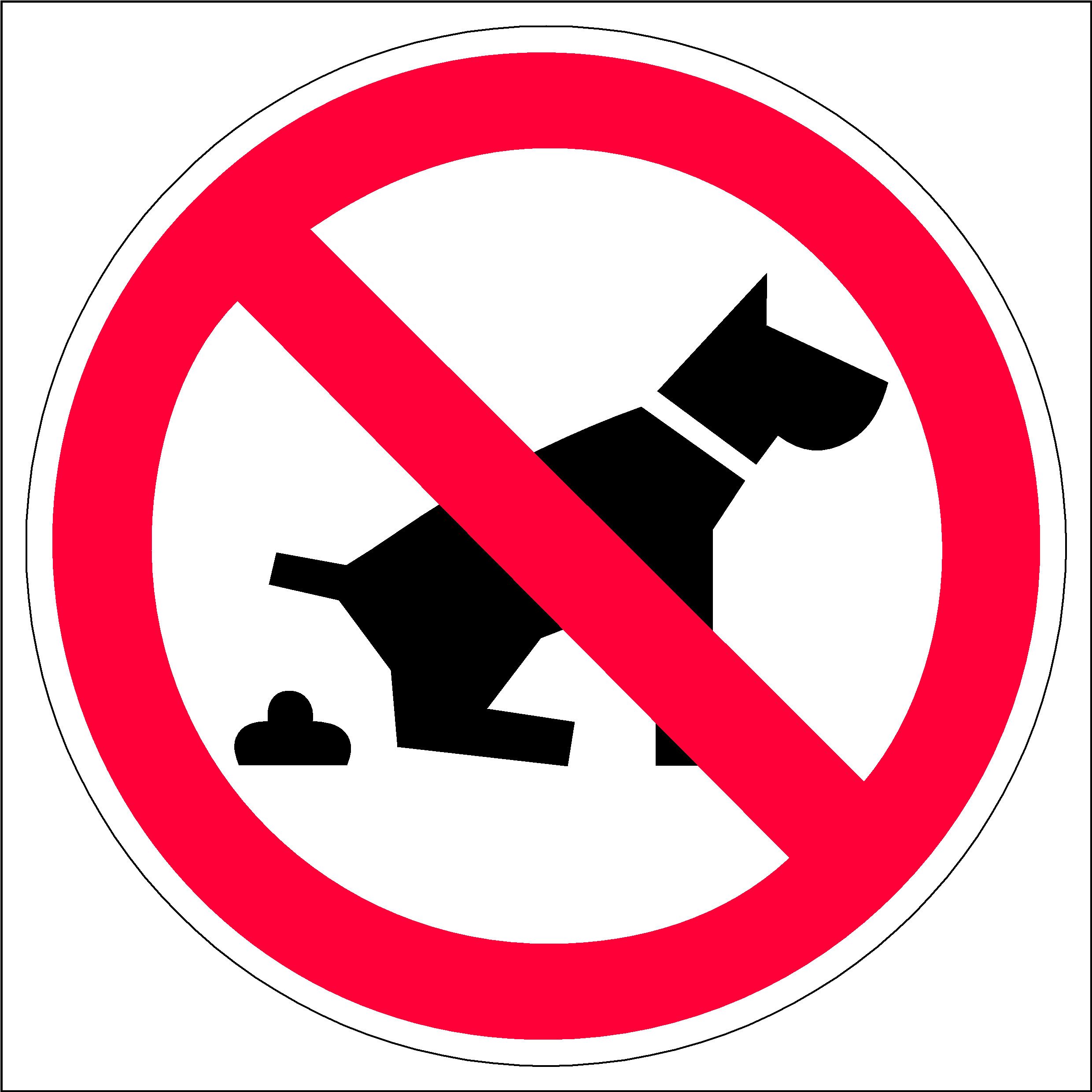 Wichelhaus Bild kein Hundeklo Schild 20cm günstig online kaufen