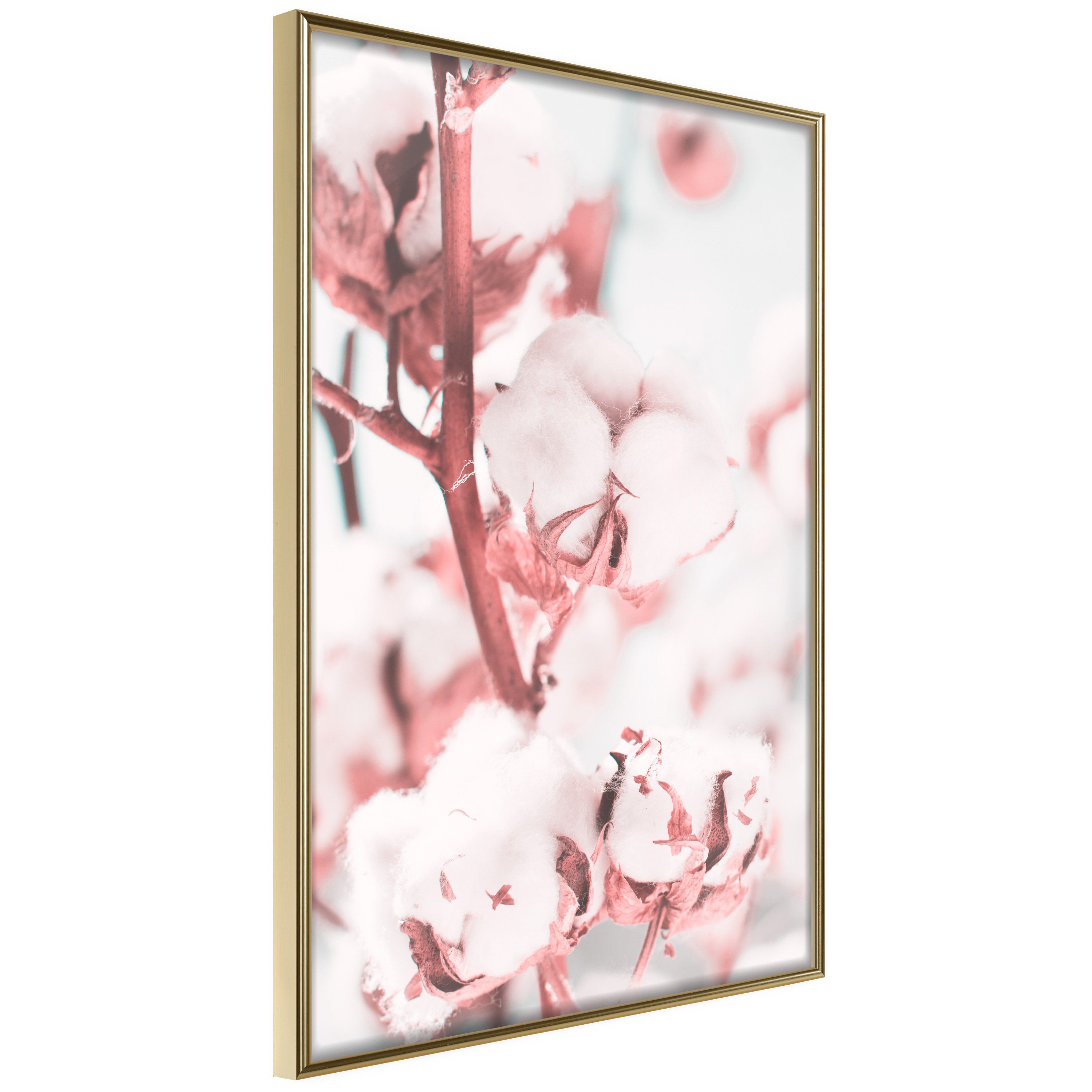 Artgeist Poster Blooming Cotton