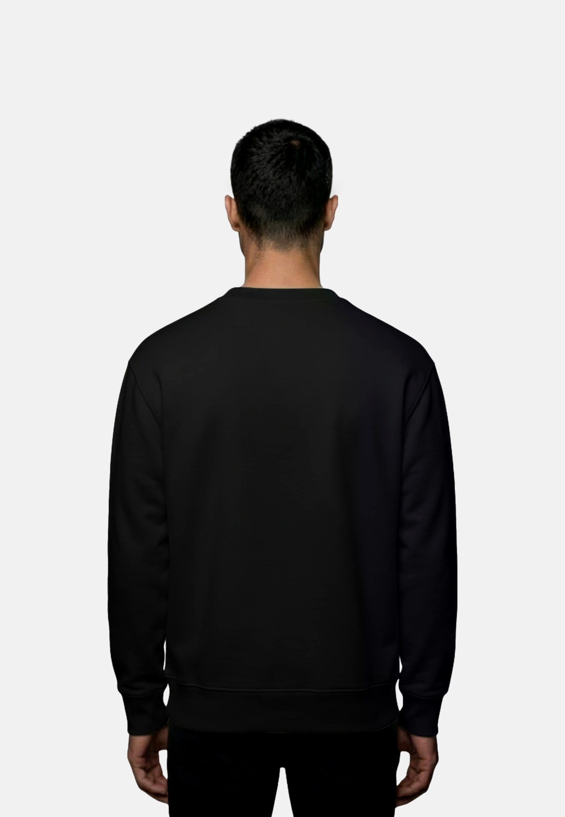 Napapijri Sweatshirt Sweatshirt Small Box Pullover ohne Kapuze (1-tlg)