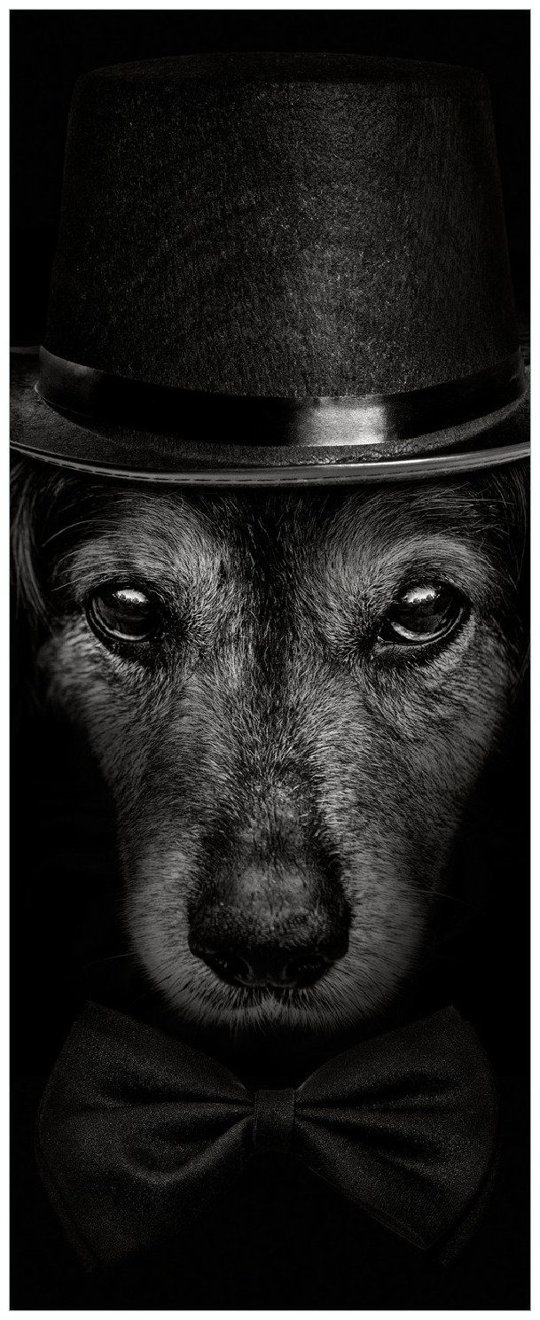 Wallario Memoboard Eleganter Hund mit Zylinder in schwarz-weiß