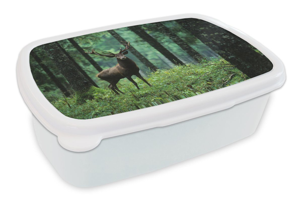 MuchoWow Lunchbox Hirsche - Kunststoff, Wald Jungs Erwachsene, Brotbox - und Kinder Natur, Bäume für - - (2-tlg), Tiere für Brotdose, Mädchen und weiß