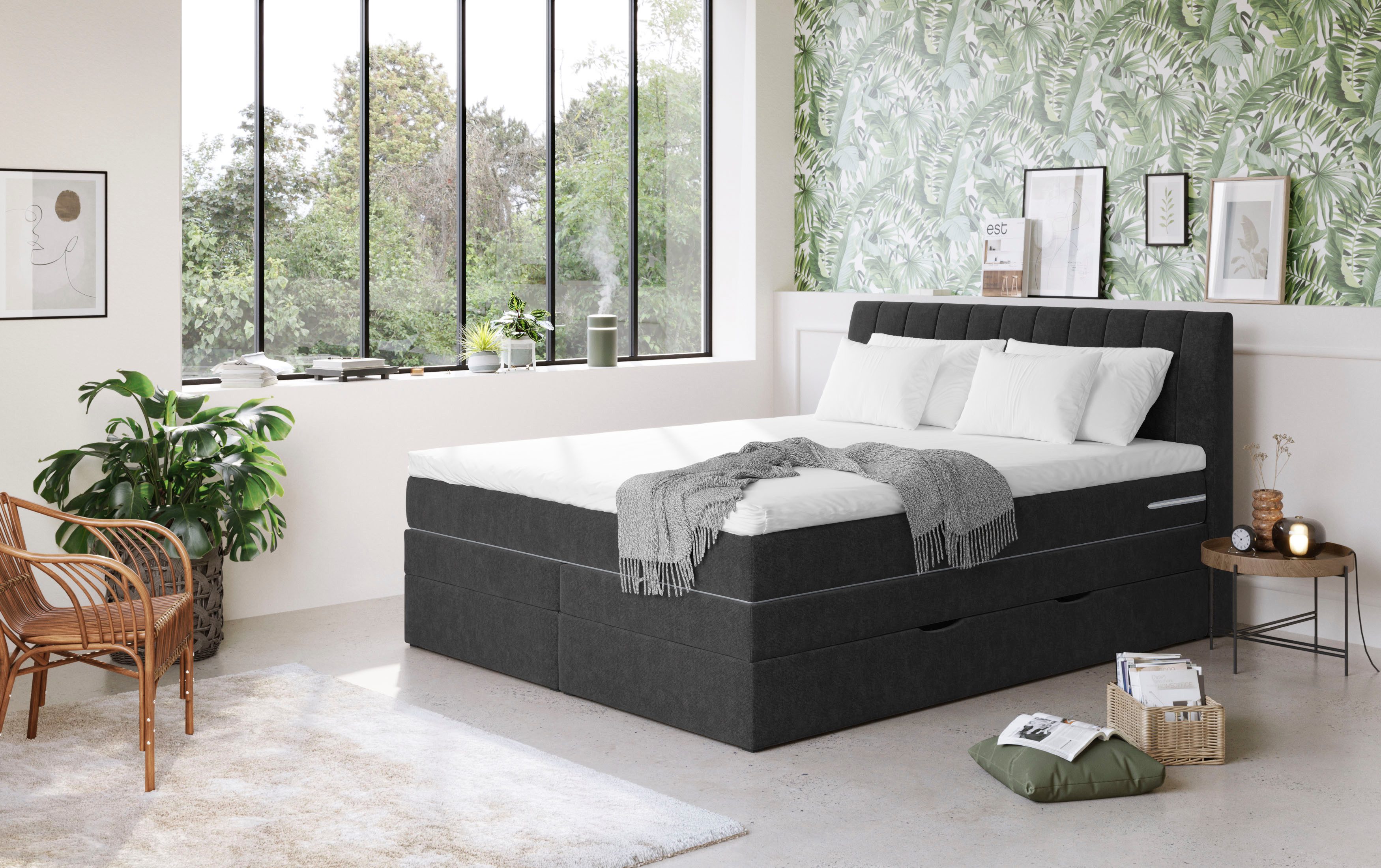 COTTA Boxspringbett Shark inkl. Bettkasten und Topper, erhältlich in den Br günstig online kaufen