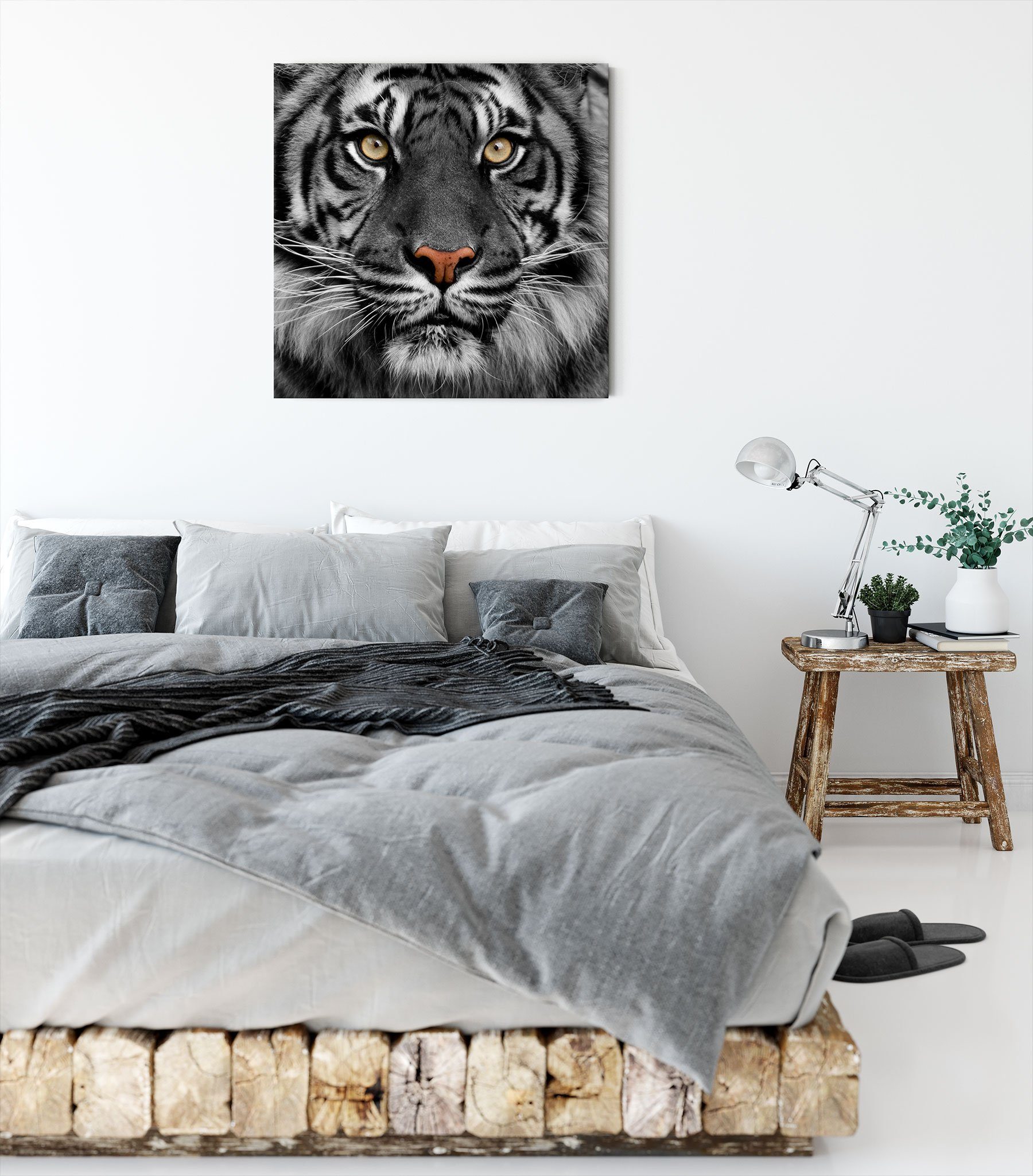Tiger (1 Leinwandbild Leinwandbild Aufmerksamer inkl. bespannt, fertig Tiger, Aufmerksamer Pixxprint St), Zackenaufhänger