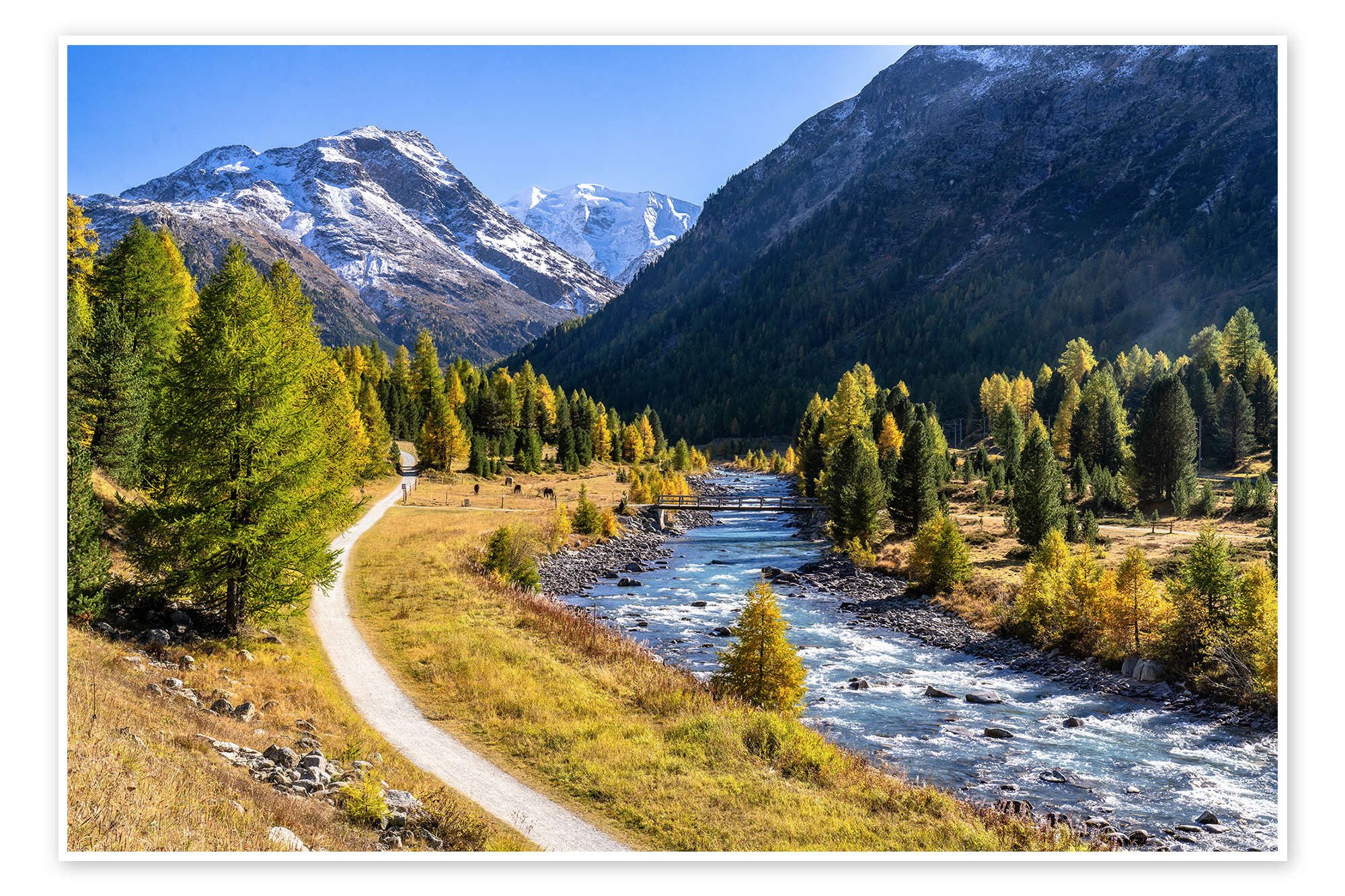 Posterlounge Wandbild Herbst im Engadin, Achim Thomae, erhältlich als Poster, Leinwandbild, Wandsticker oder Acrylglasbild