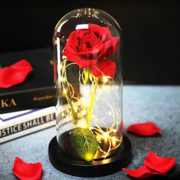Kunstblume Ewige Rose im Glas mit Licht, AKKEE, Höhe 21.8 cm, Rosen Geschenke für Frauen für Valentinstag, Muttertag, Jahrestag