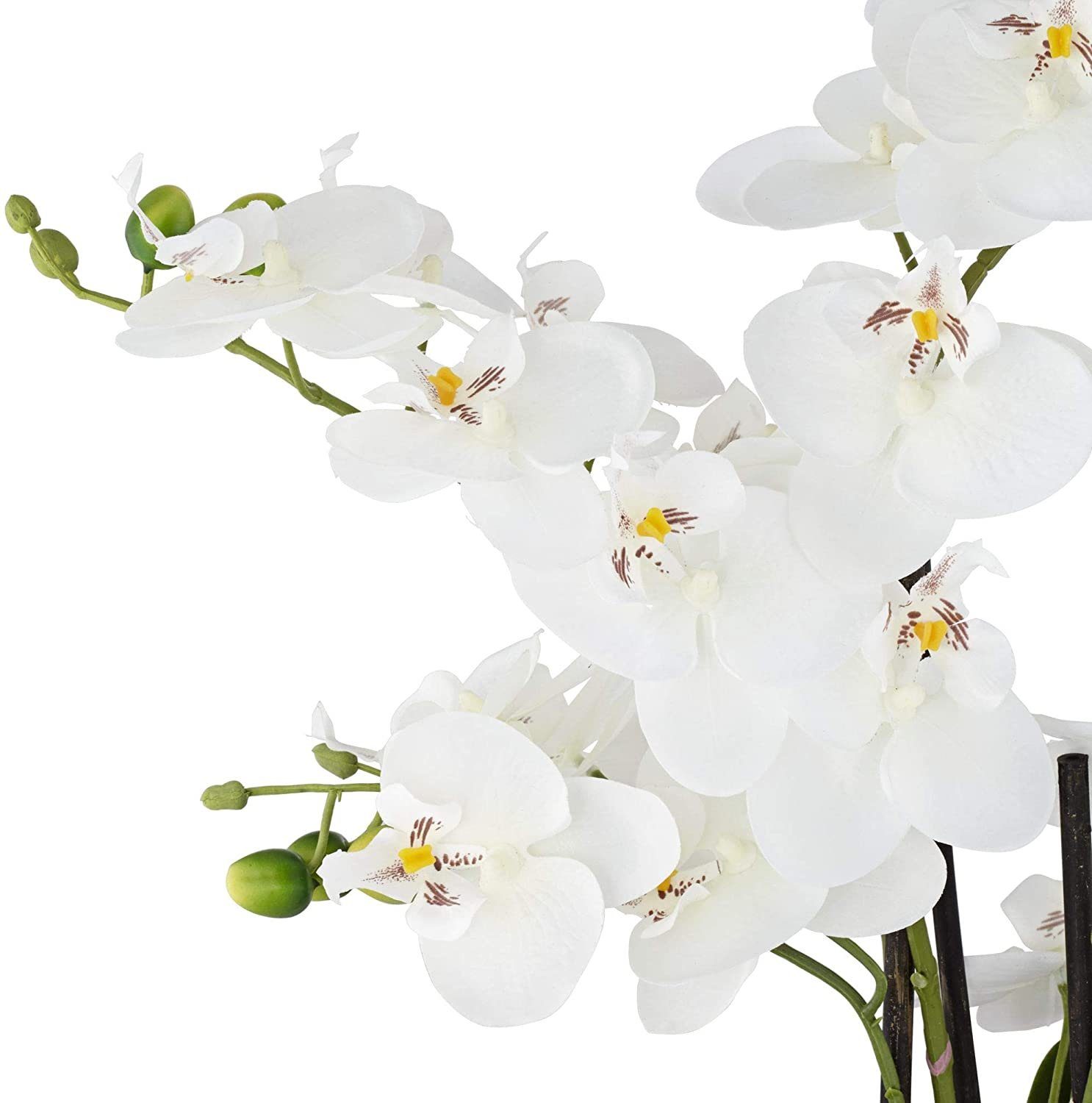 Kunstorchidee Kunstpflanze Orchidee Orchidee, cm, Höhe green, Creativ silber Keramiktopf 55.00 im
