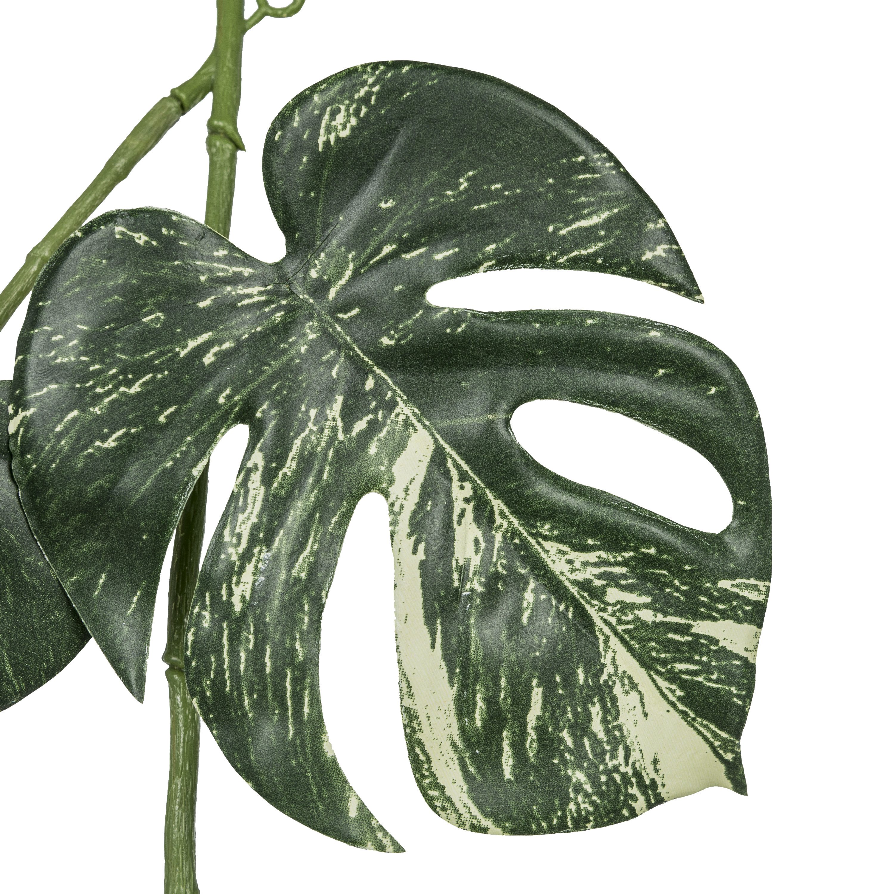 Kunstranke Splitphiloranke, Creativ green, Höhe 135 günstig online kaufen
