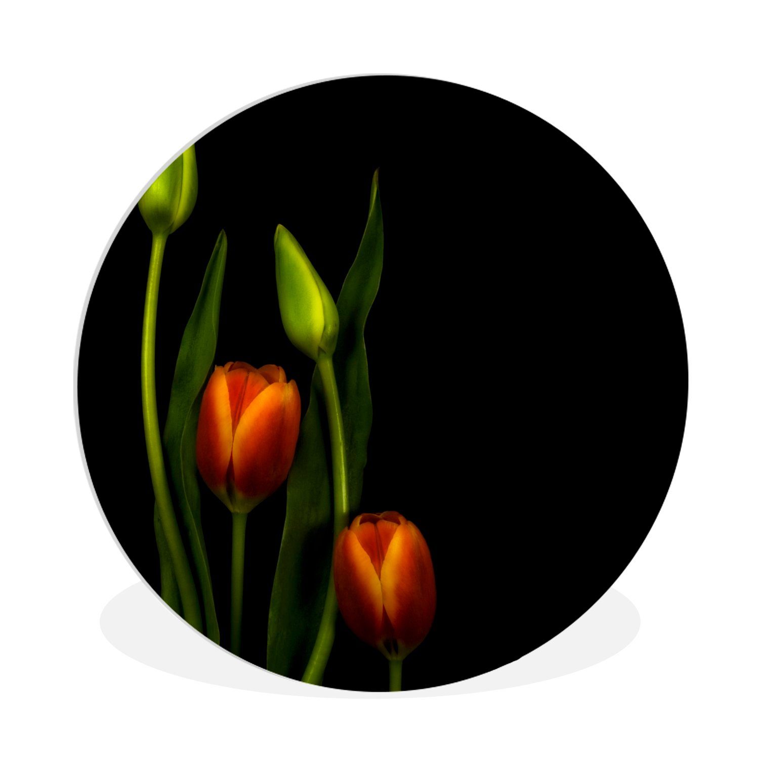 MuchoWow Gemälde Orangefarbene Tulpen und Tulpenknospen vor einem schwarzen Hintergrund, (1 St), Kreis Wanddekoration Forex, Rundes Wandbild, Wohnzimmer, 30x30 cm