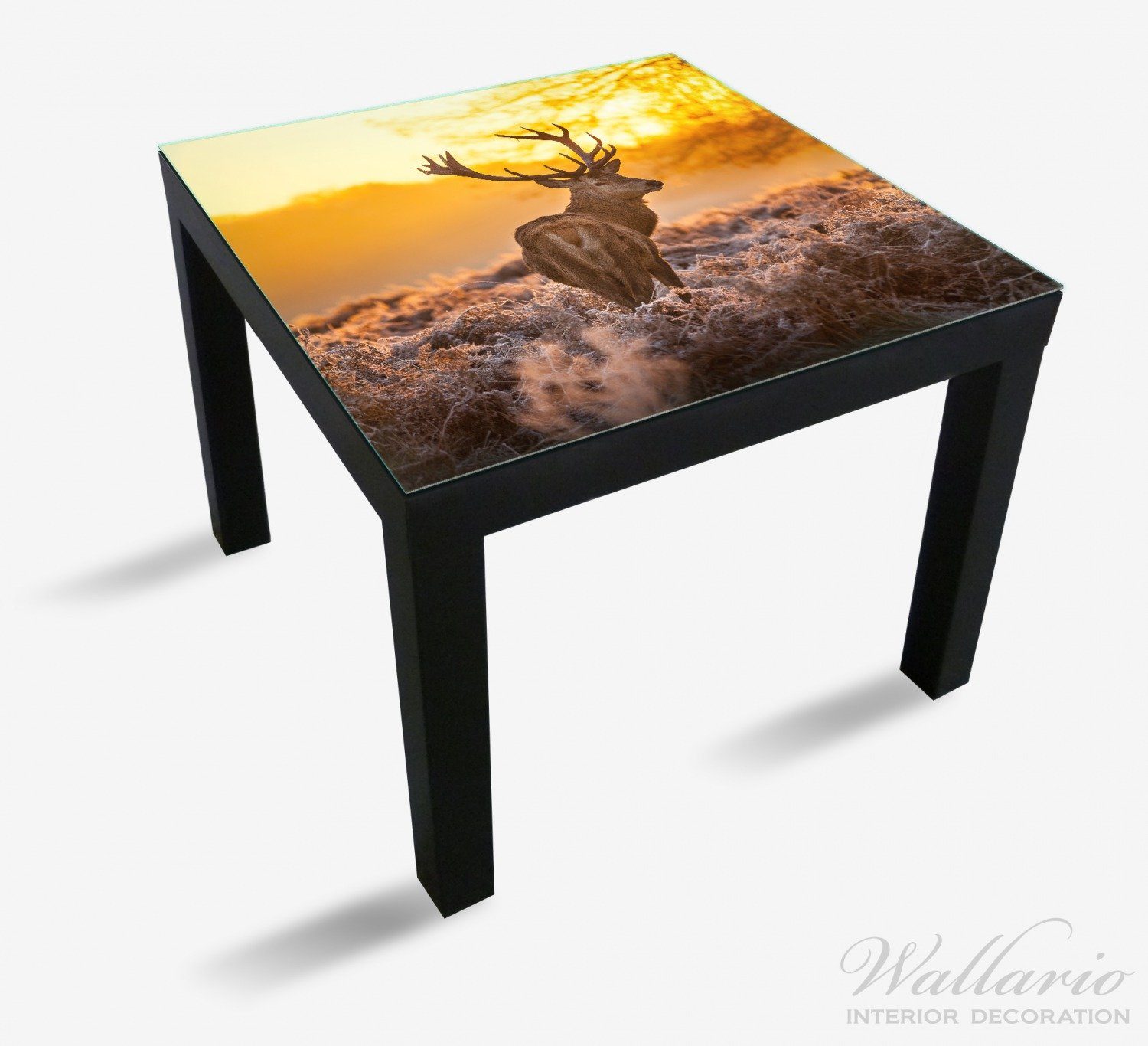 St), Tisch stattlicher Rothirsch Morgengrauen im Lack (1 für geeignet Wallario Ikea Tischplatte