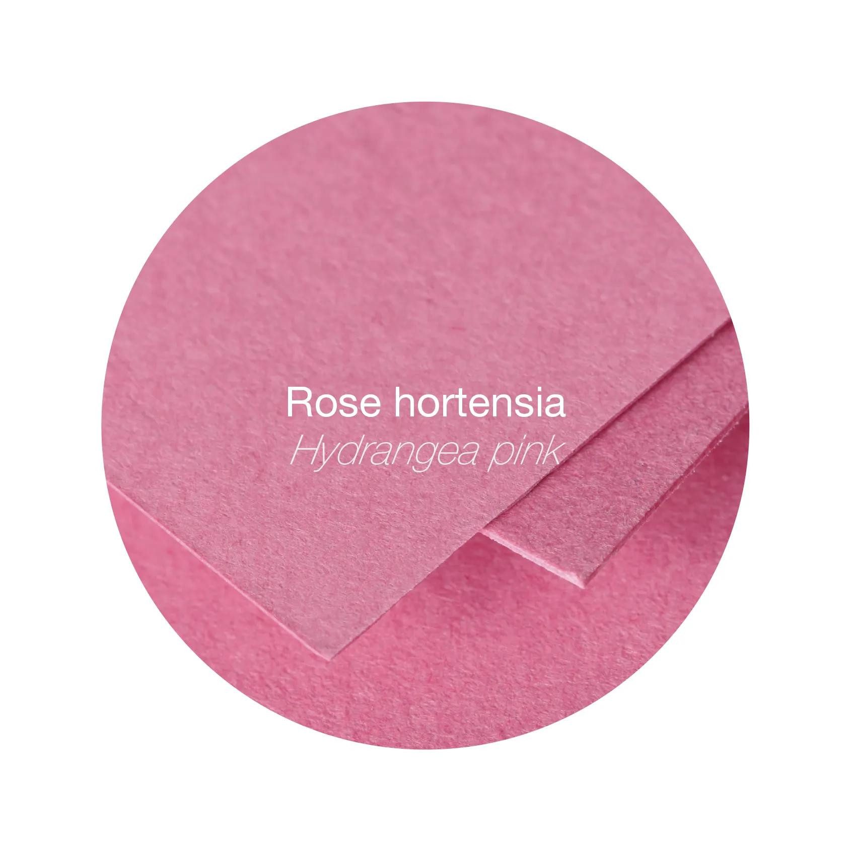 CLAIREFONTAINE Briefumschlag 10x Papier A4 160g 50 Blatt - Hortensienrosa 144281C, Bogen