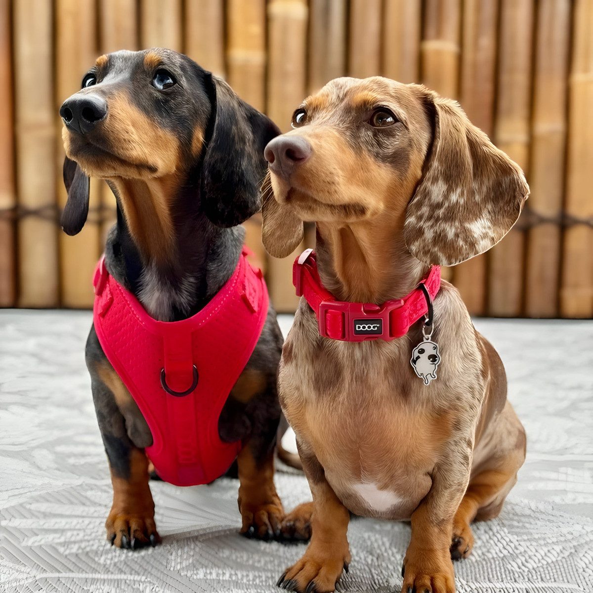 DOOG Hunde-Halsband Neosport Halsband rot