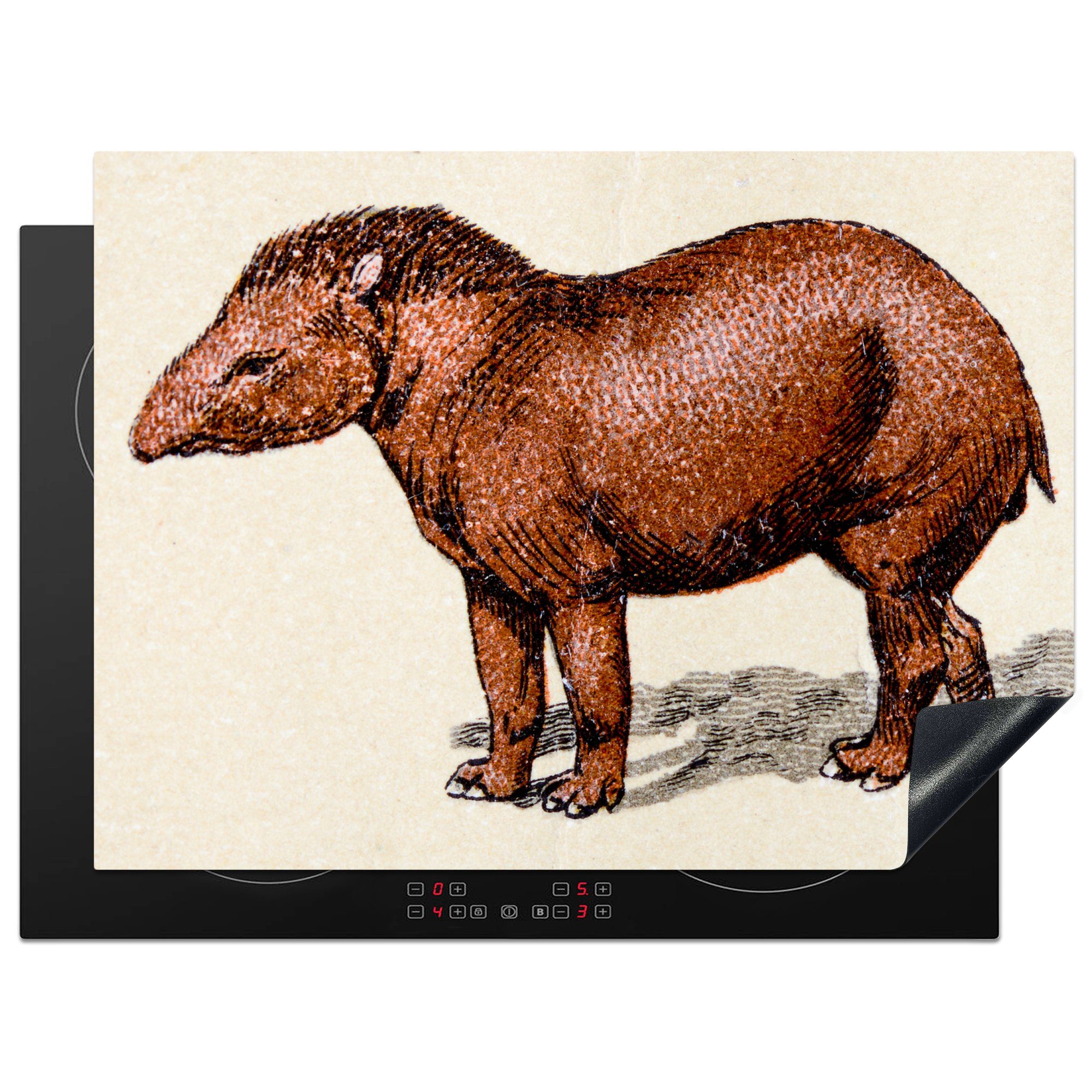 MuchoWow Herdblende-/Abdeckplatte Illustration eines braunen Tapirs, Vinyl, (1 tlg), 70x52 cm, Mobile Arbeitsfläche nutzbar, Ceranfeldabdeckung