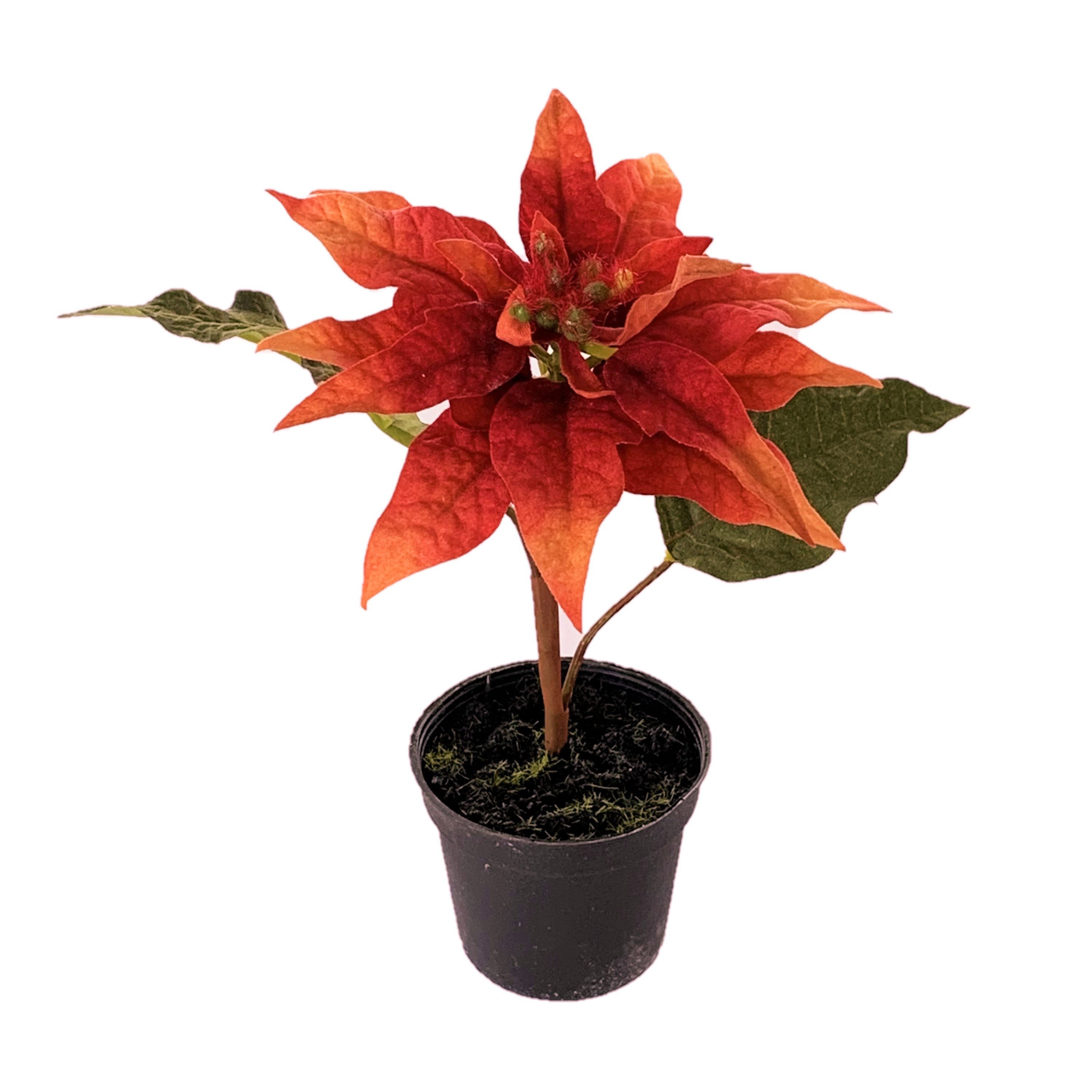 Kunstblume Kunstblume POINSETTIE im TOPF. 17 cm. Christstern in ORANGE, Floratexx GmbH, Höhe 17.00 cm