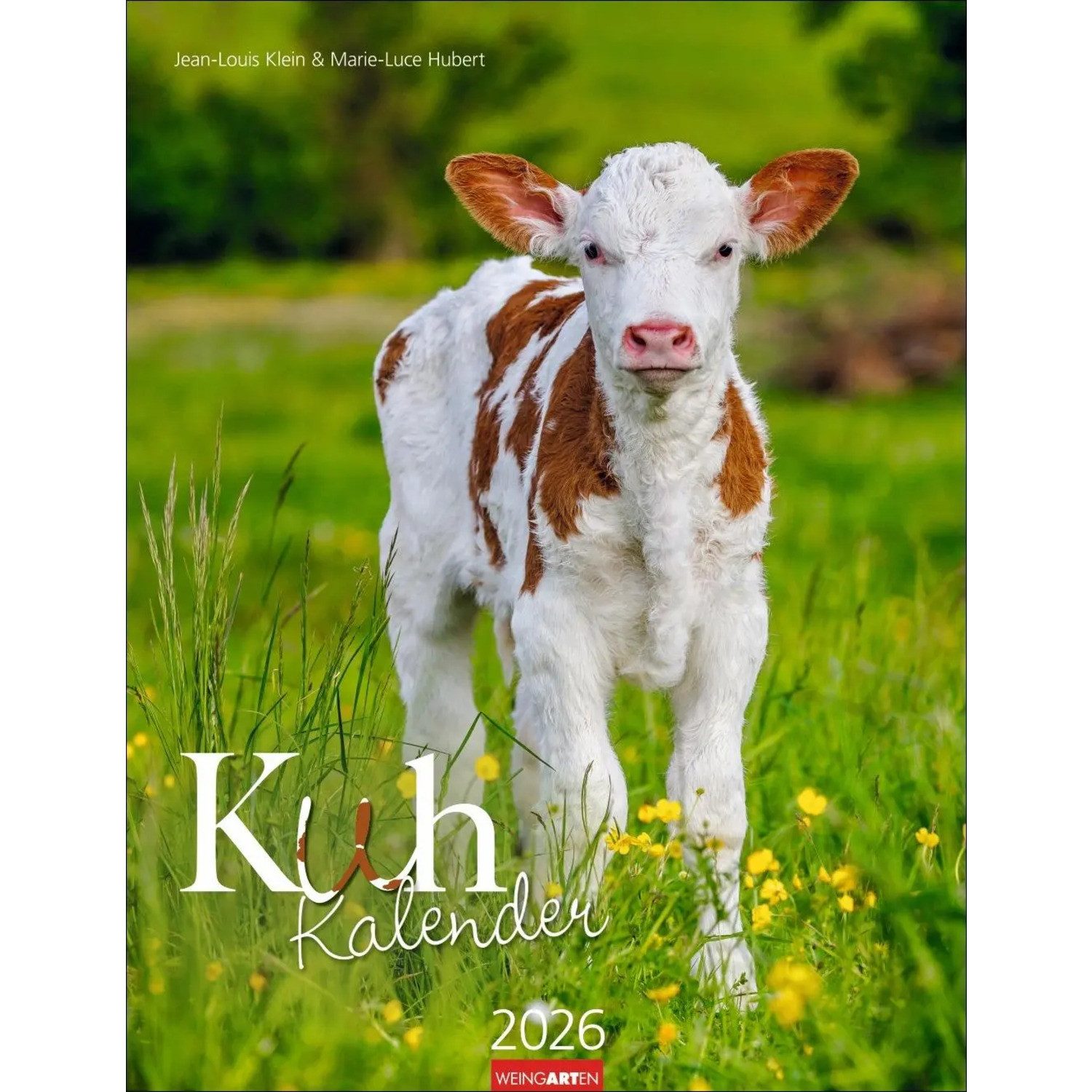 Wandkalender Kuh Kalender 2026