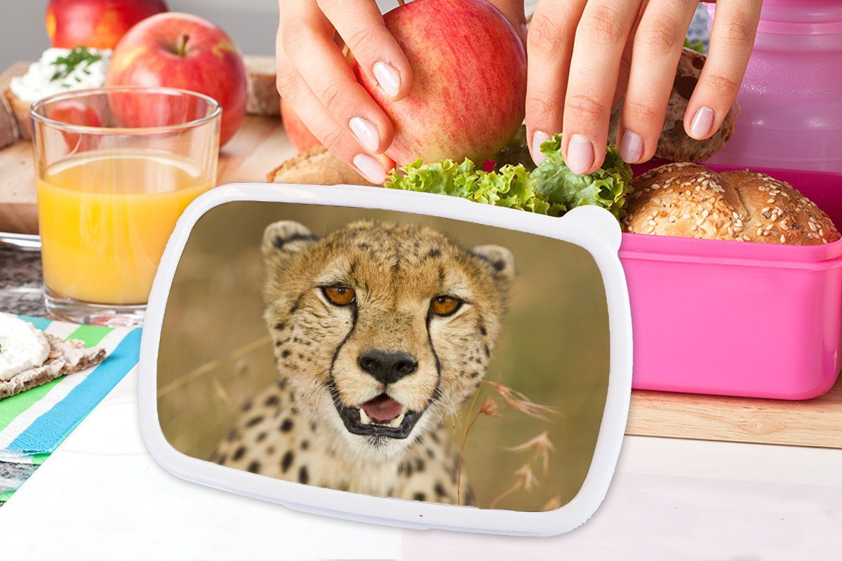 MuchoWow Lunchbox Kunststoff, Pflanzen, Kinder, für Brotbox Kunststoff (2-tlg), Snackbox, - Erwachsene, Brotdose Kopf Mädchen, rosa Leopard 
