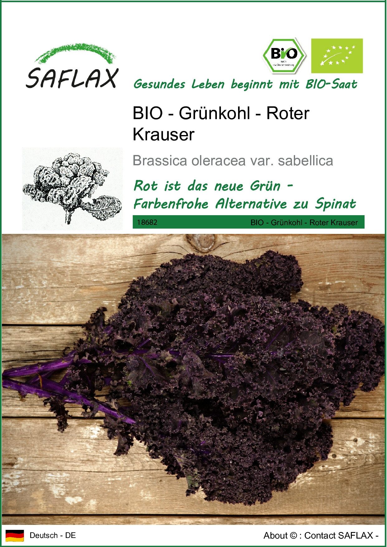 SAFLAX Gemüsesamen SAFLAX - Samen - BIO - Grünkohl - Roter Krauser