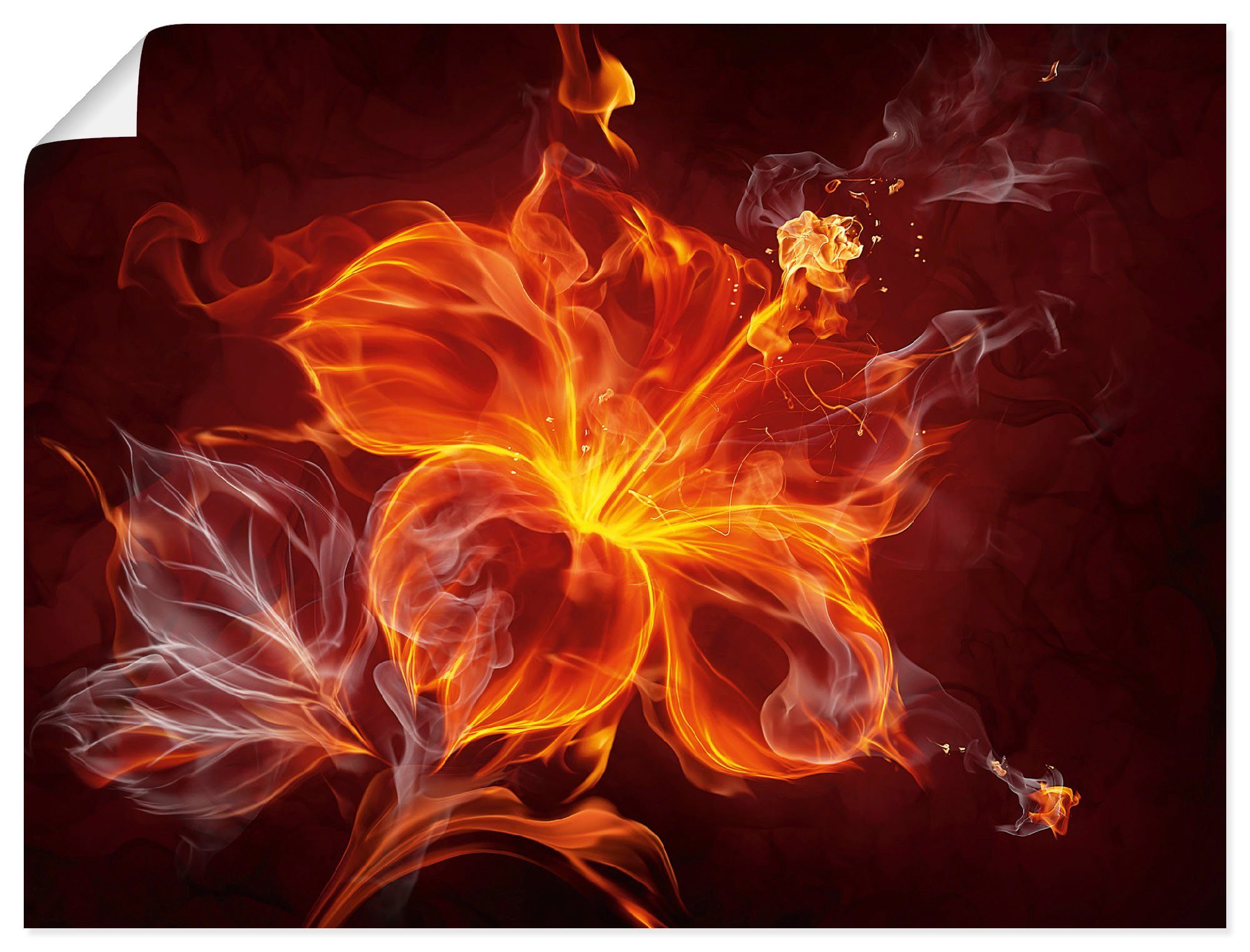 Wandbild Feuerblume