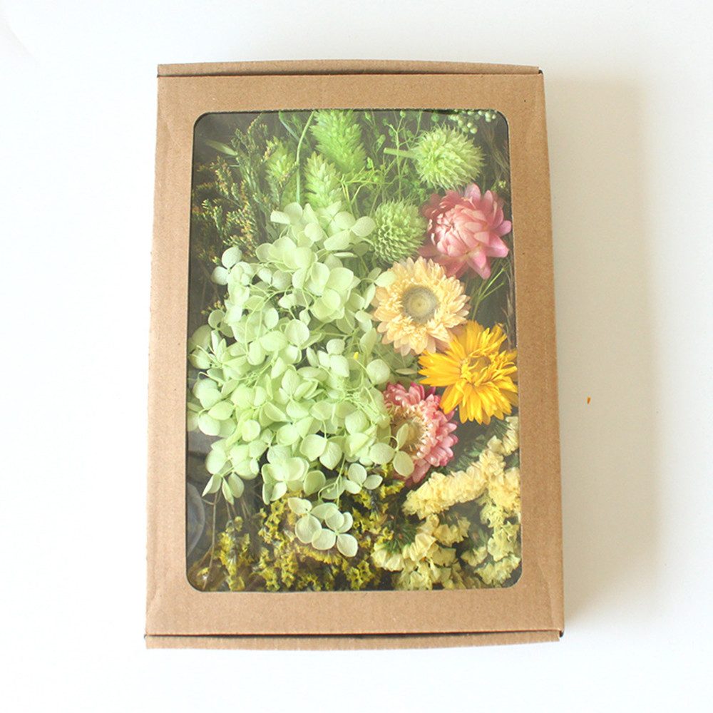 Trockenblume Klein Trockenblumen Deko Trockenblumen mit günstig online kaufen