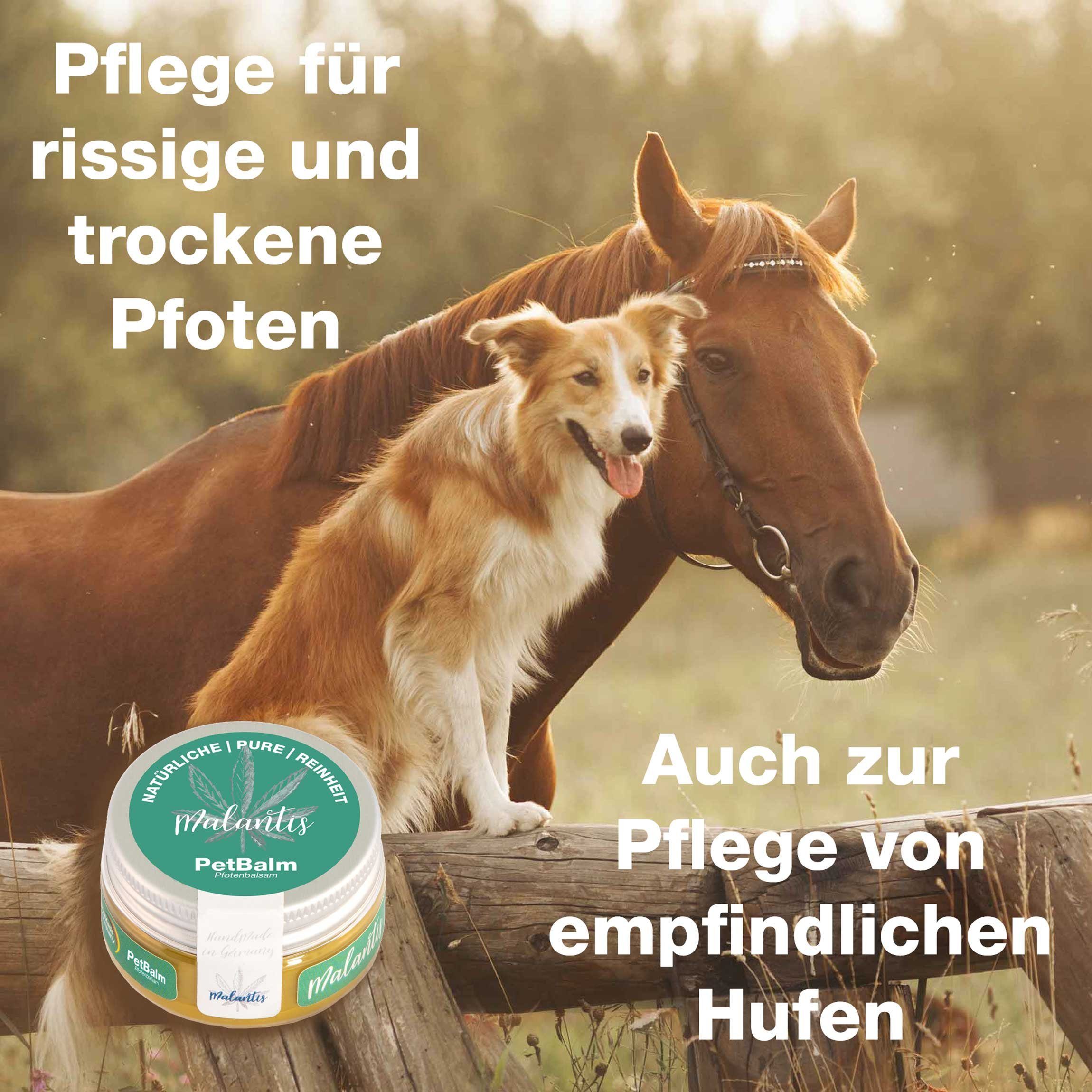 Malantis Körperbalsam Malantis CBD PetBalm Pfotenbalsam für Hunde & Katzen mit Mandelöl Pfotenbalsam für Hunde und Katzen mit Kokosöl, Capuacu Butter und Mandelöl, Fellpflege, Pfoten Pflege bei Nässe und Kälte - Huf Pflege von Pferden
