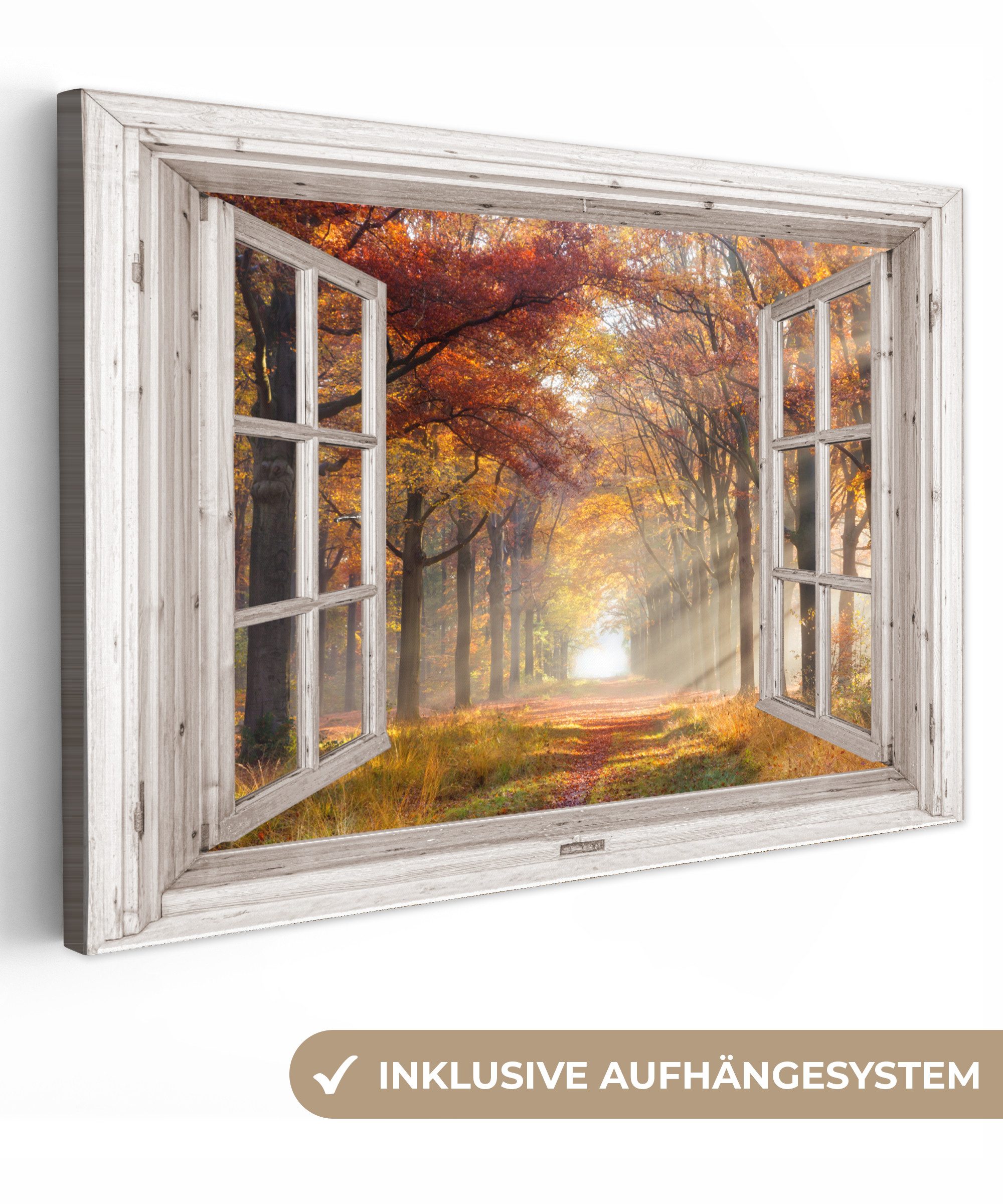 OneMillionCanvasses® Leinwandbild Herbst - Wald - Bäume - Natur - Fensterbl günstig online kaufen