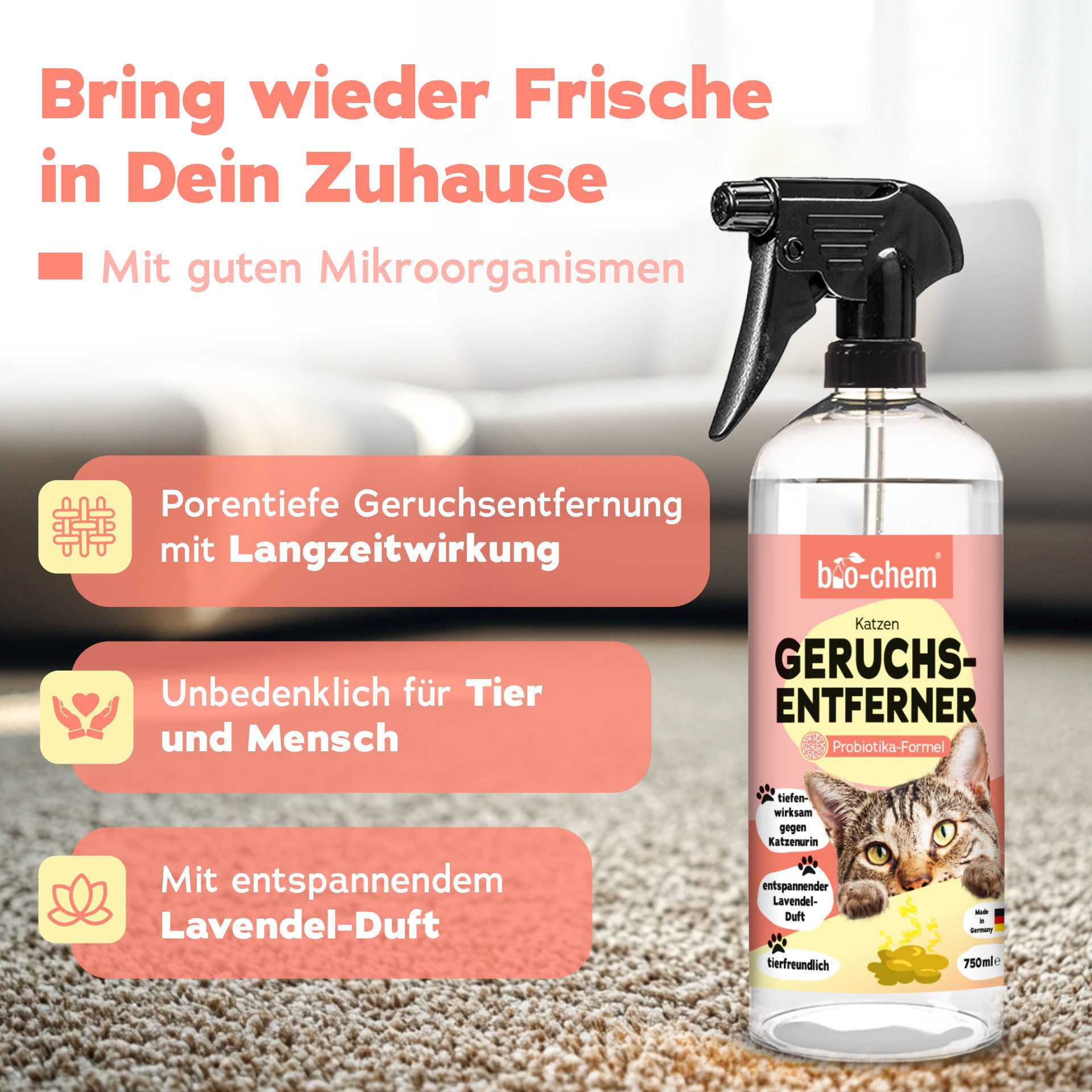 bio-chem Geruchsentferner Enzymreiniger Katzenurin 750 ml mit Mikroorganismen gegen Tiergerüche (2x Geruchsentferner Katze 0.75 l Handsprayflasche)